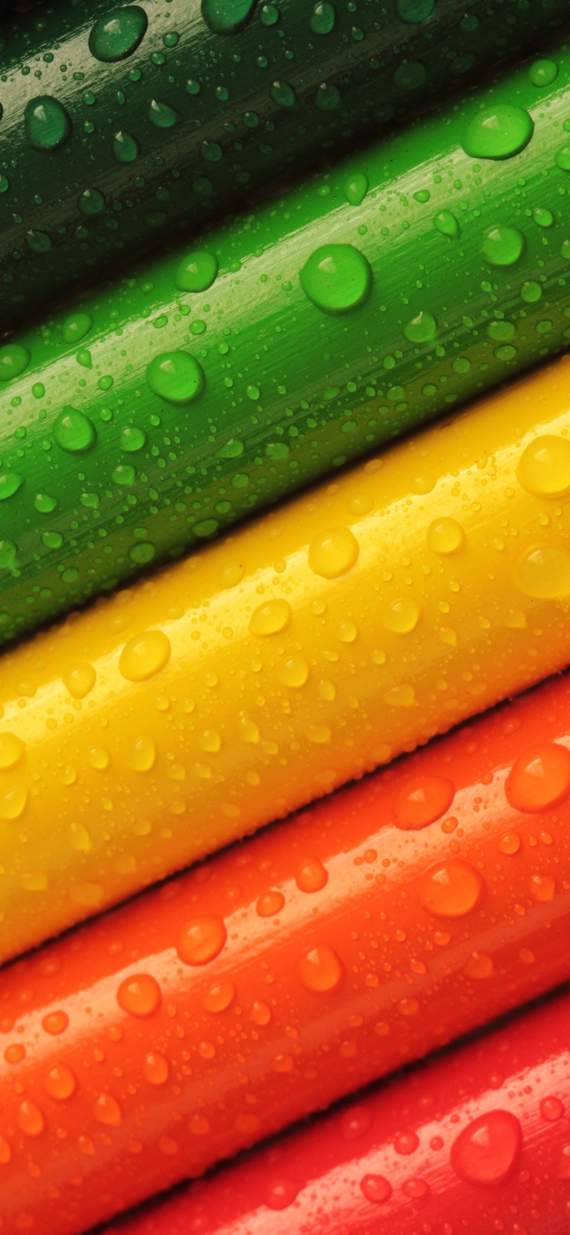 Обои синий зеленый цвет красный, цвет, синий, красный цвет, синий зеленый в разрешении 1125x2436