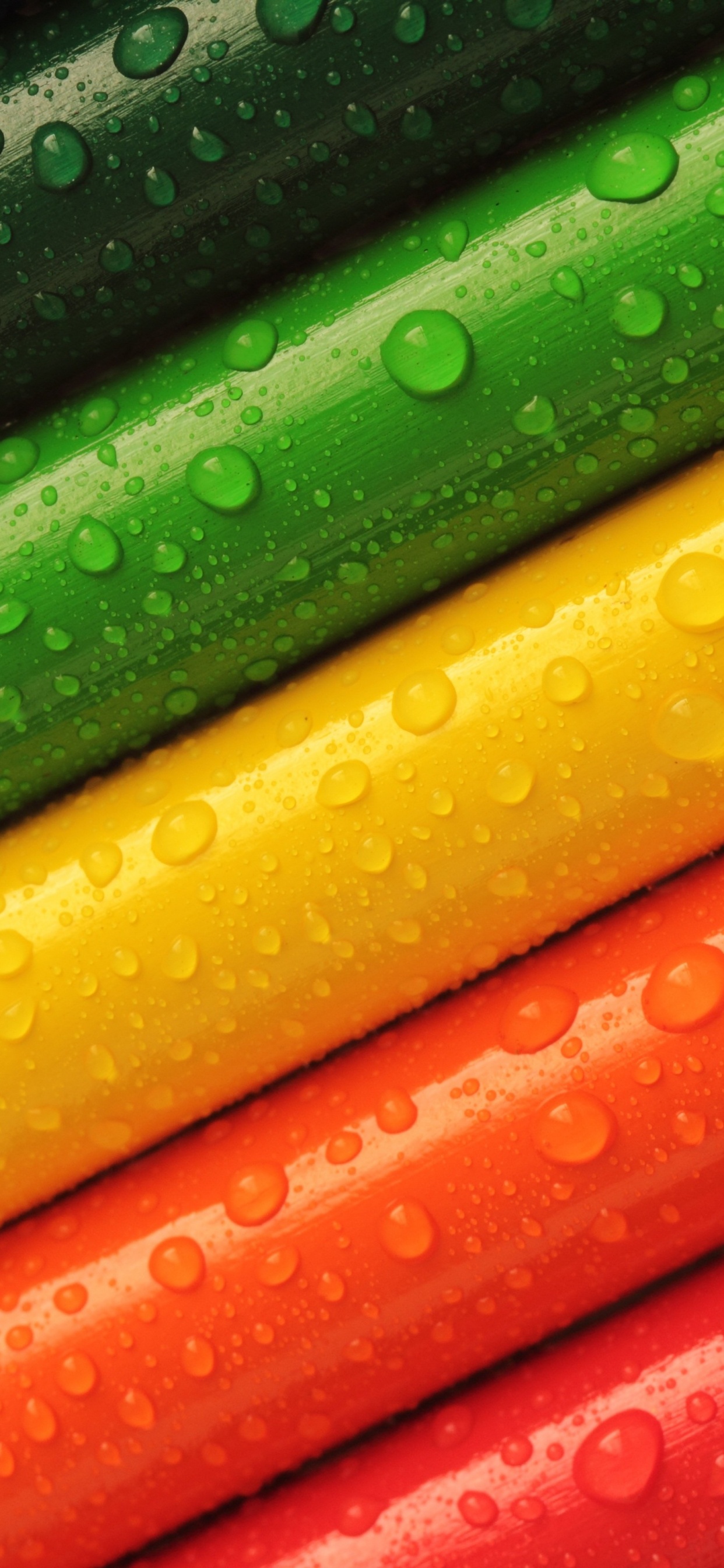 Обои синий зеленый цвет красный, цвет, синий, красный цвет, синий зеленый в разрешении 1242x2688