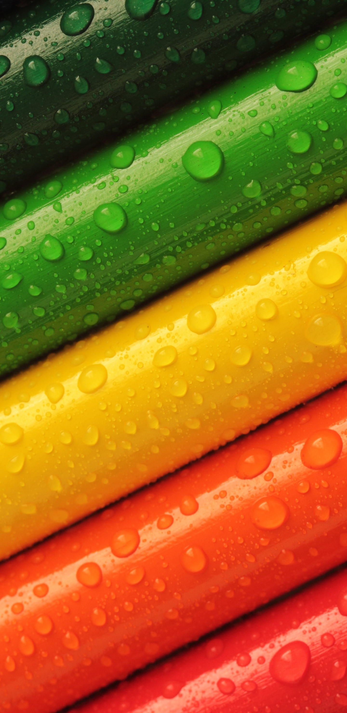 Обои синий зеленый цвет красный, цвет, синий, красный цвет, синий зеленый в разрешении 1440x2960