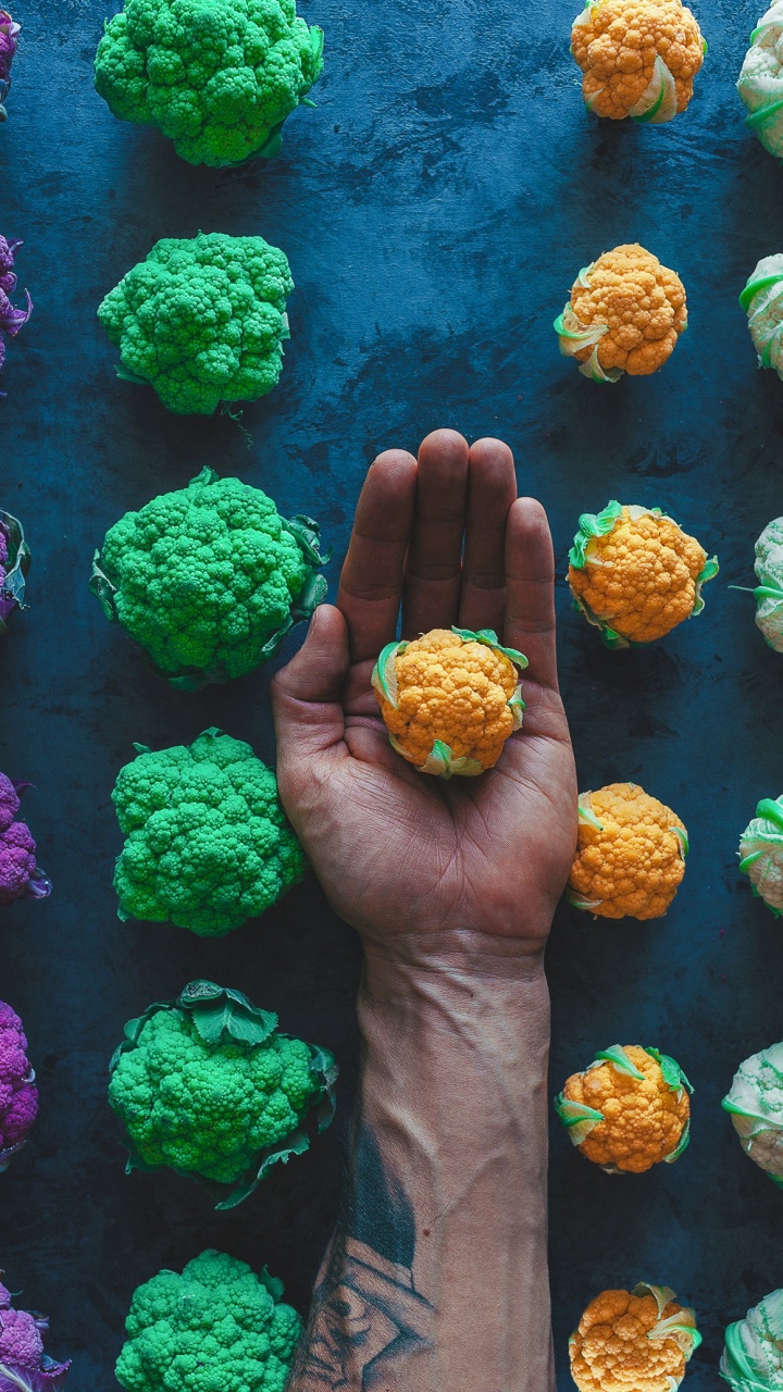 Обои завод, растение, яблоко, джейлбрейк iOS, коралл в разрешении 720x1280