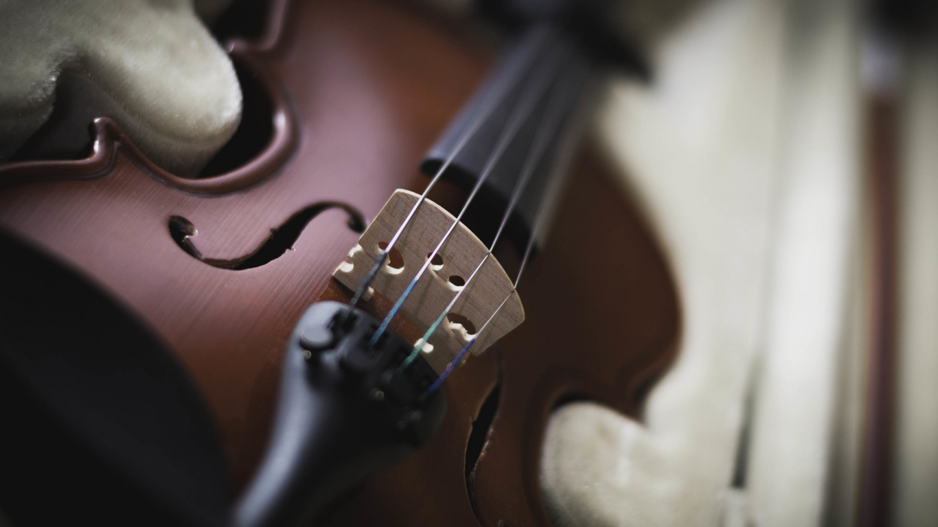 Обои скрипка, струнный инструмент, музыкальный инструмент, музыка, Смычковые музыкальные инструменты в разрешении 1366x768