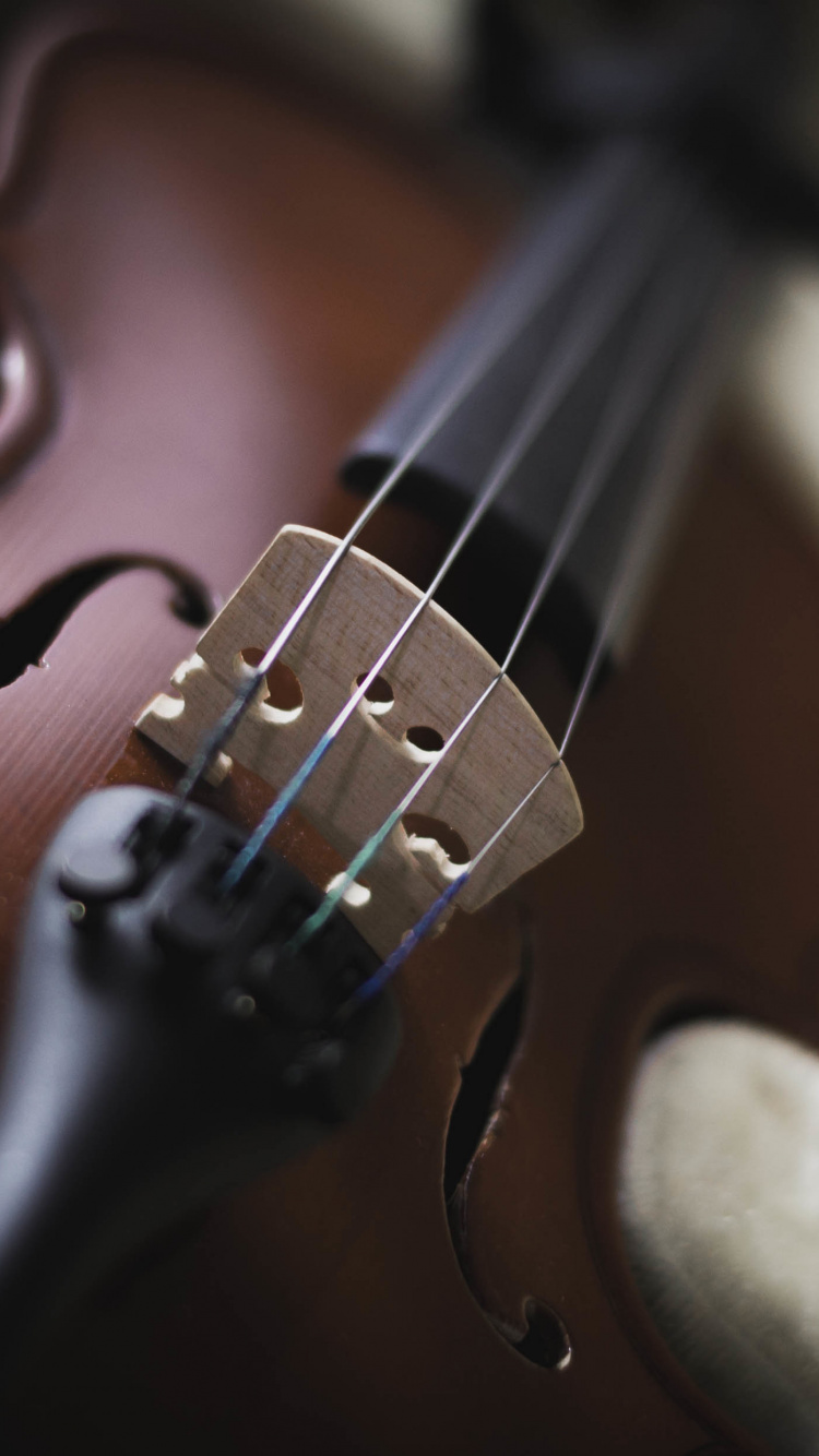 Обои скрипка, струнный инструмент, музыкальный инструмент, музыка, Смычковые музыкальные инструменты в разрешении 750x1334