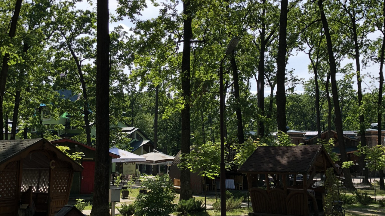 Обои лесистая местность, государственный парк, земельный участок, тень, сад в разрешении 1280x720