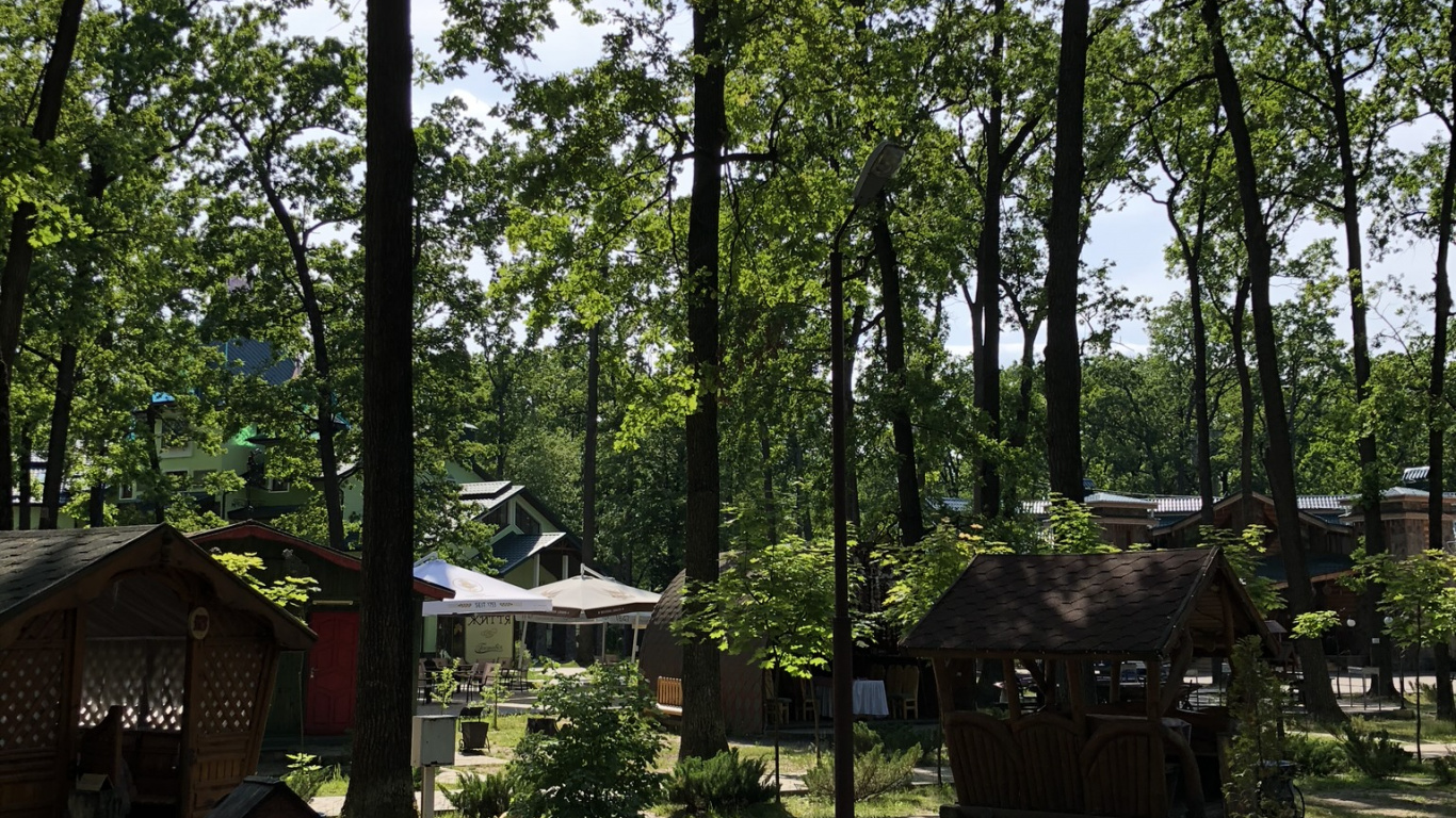 Обои лесистая местность, государственный парк, земельный участок, тень, сад в разрешении 1366x768