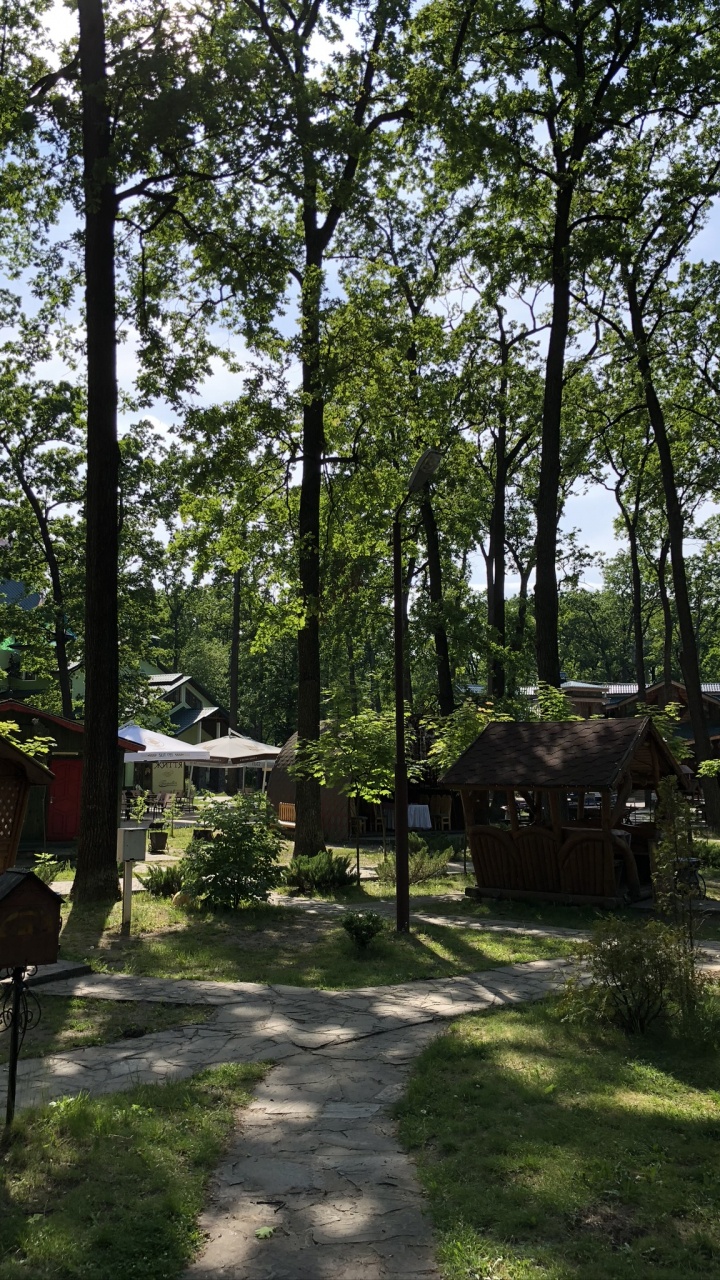 Обои лесистая местность, государственный парк, земельный участок, тень, сад в разрешении 720x1280