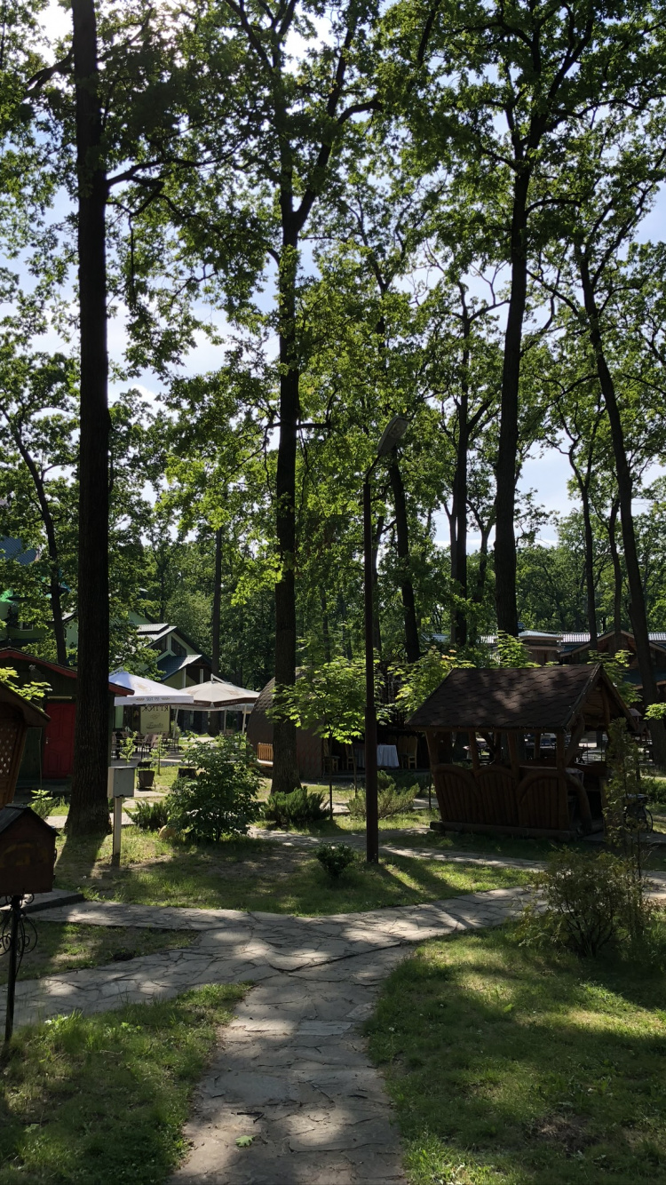 Обои лесистая местность, государственный парк, земельный участок, тень, сад в разрешении 750x1334