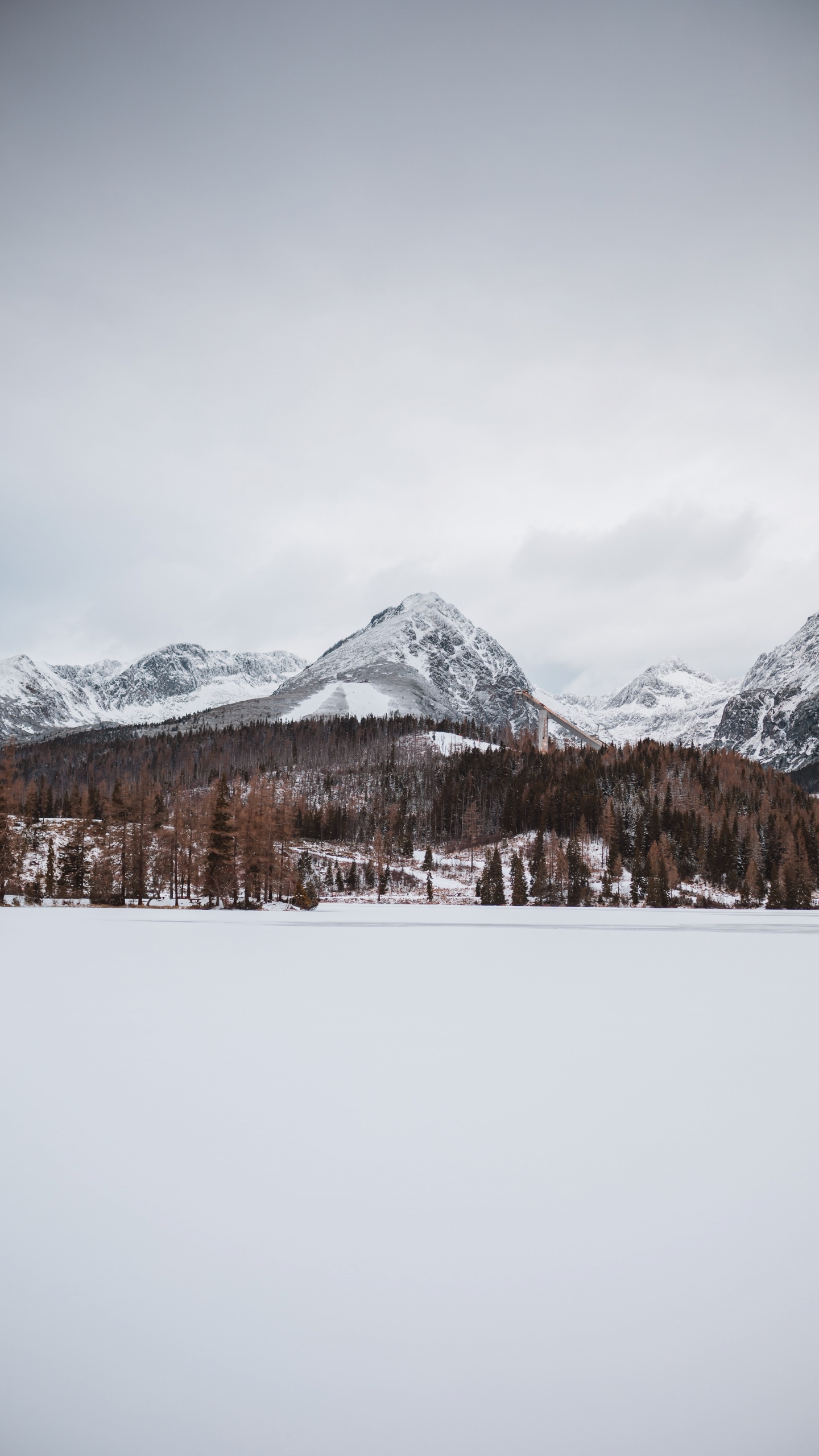 Обои дикая местность, горный хребет, замораживание, ледник, Альпы в разрешении 1440x2560