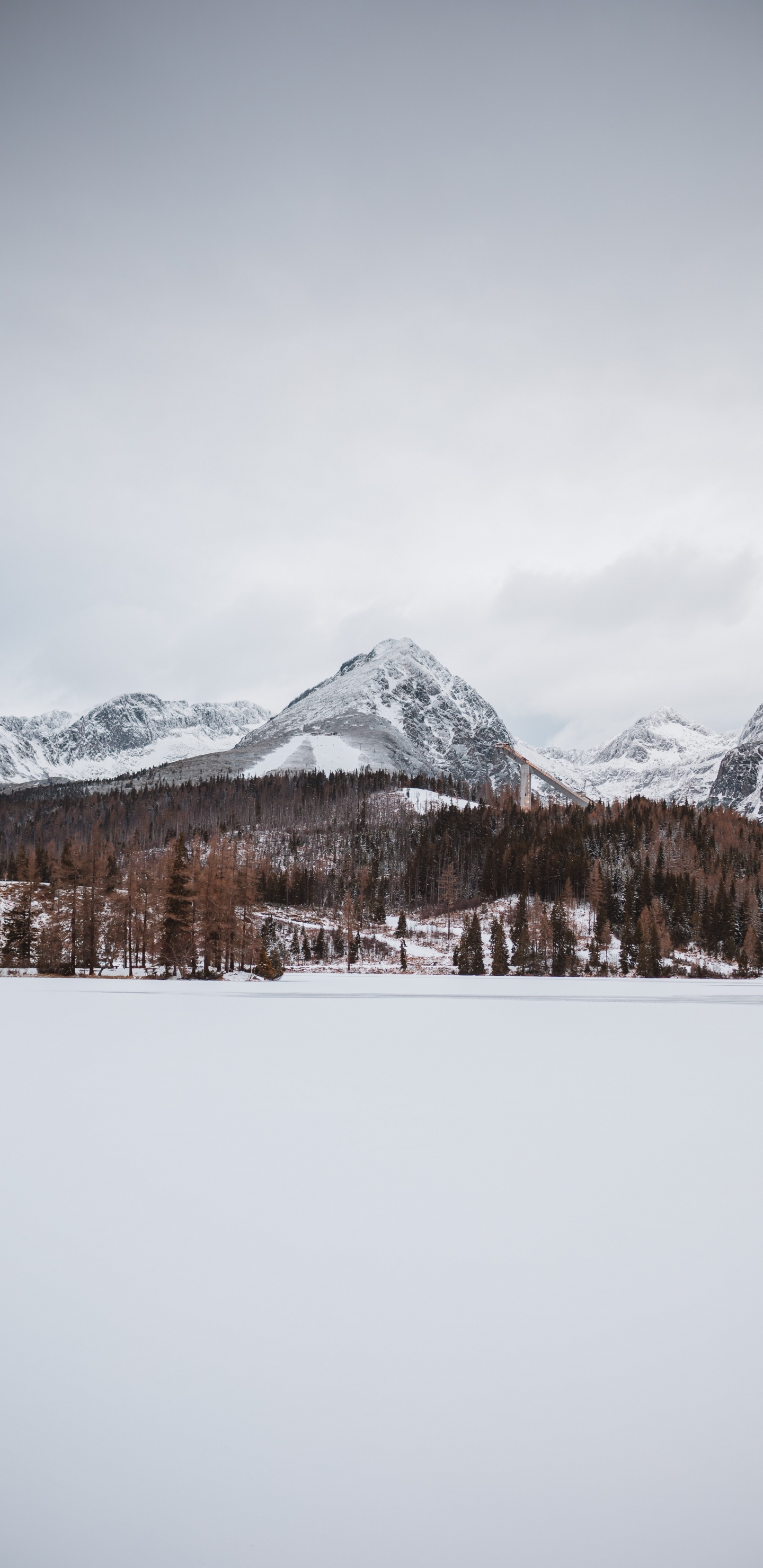 Обои дикая местность, горный хребет, замораживание, ледник, Альпы в разрешении 1440x2960