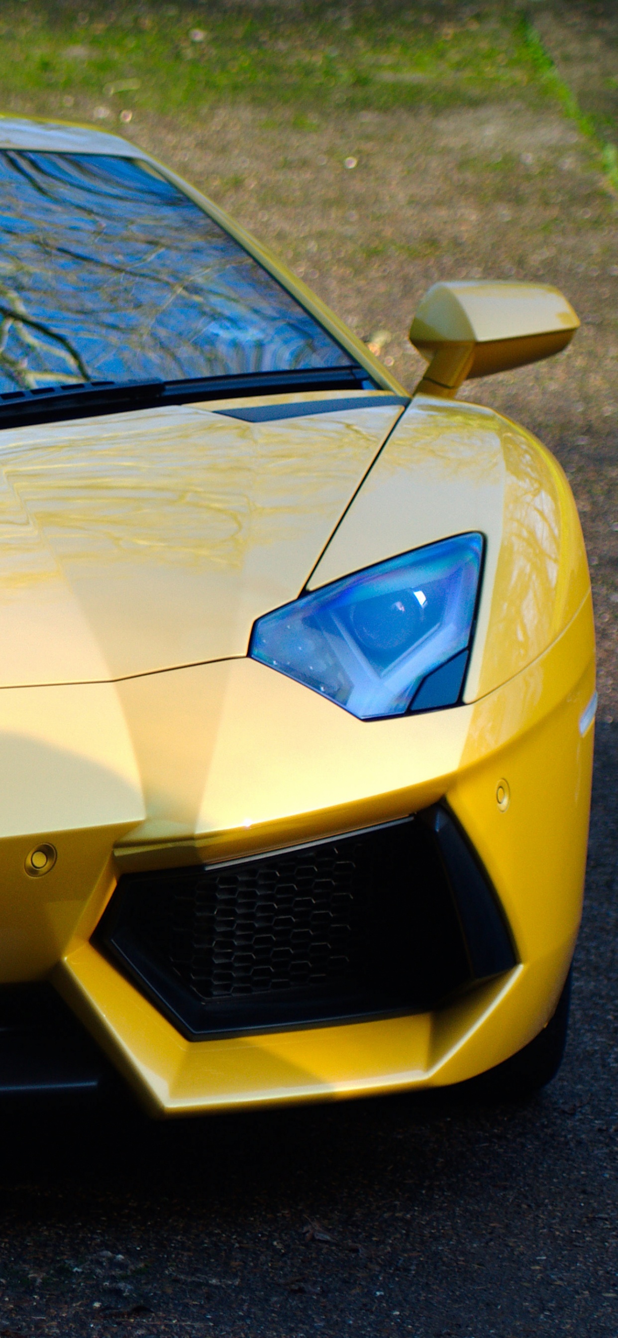 Обои Ламборджини, спорткар, суперкар, Ламборгини авентадор, желтый в разрешении 1242x2688