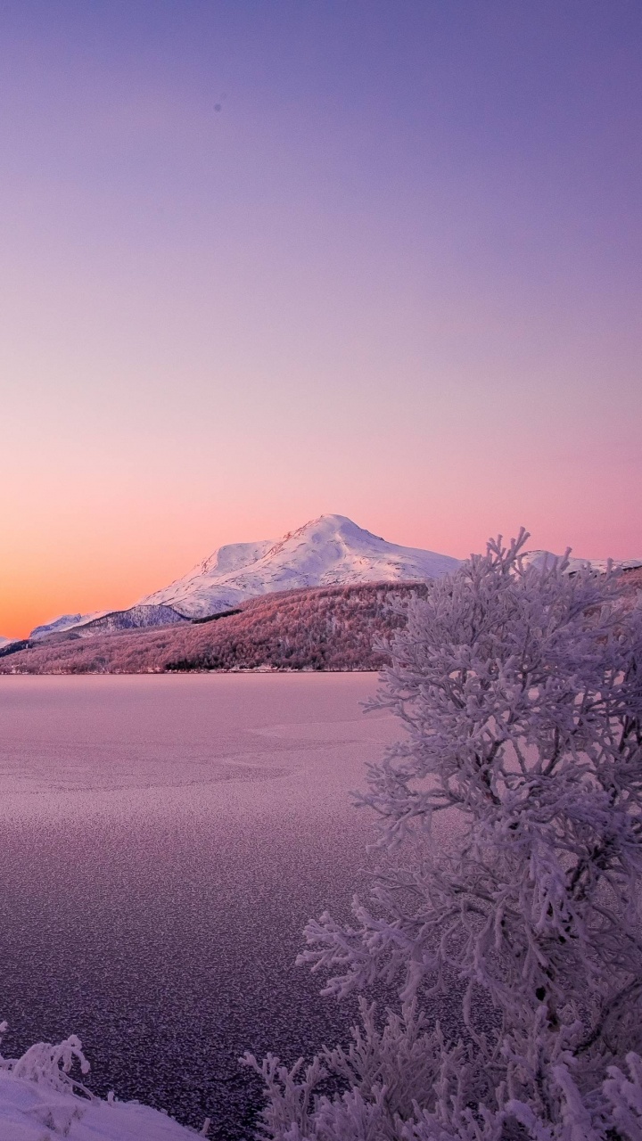 Обои снег, зима, природа, замораживание, дерево в разрешении 720x1280