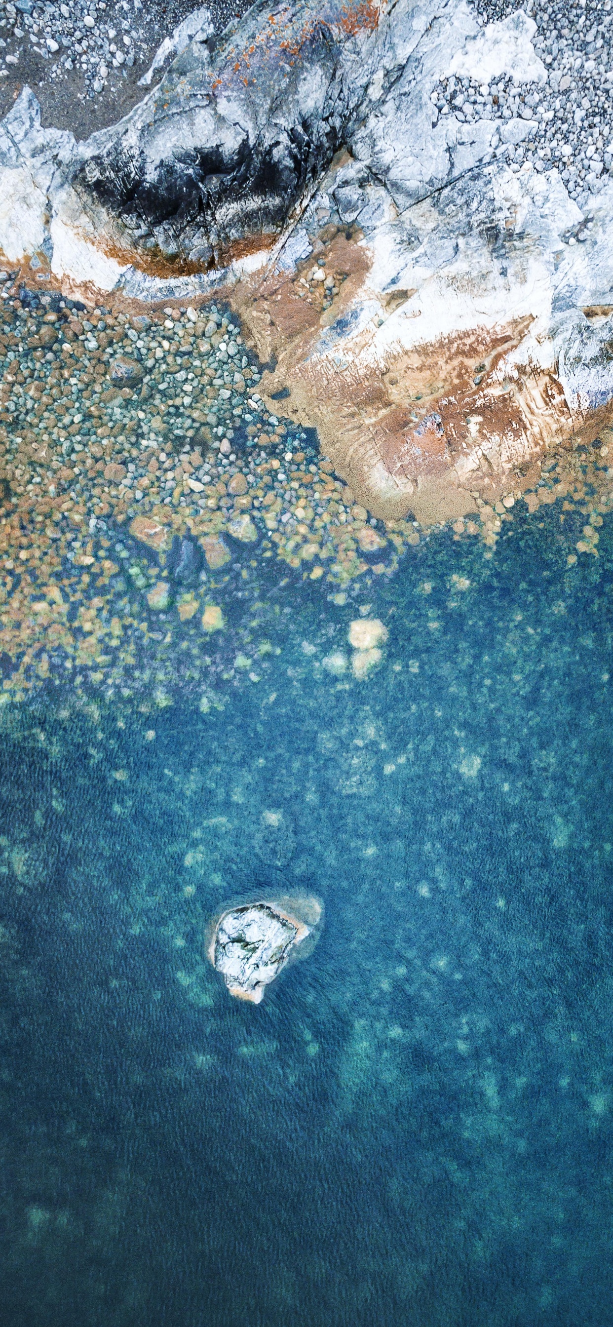 Обои айпад, ipad pro, apple, iPad Pro 2017, яблоко в разрешении 1242x2688