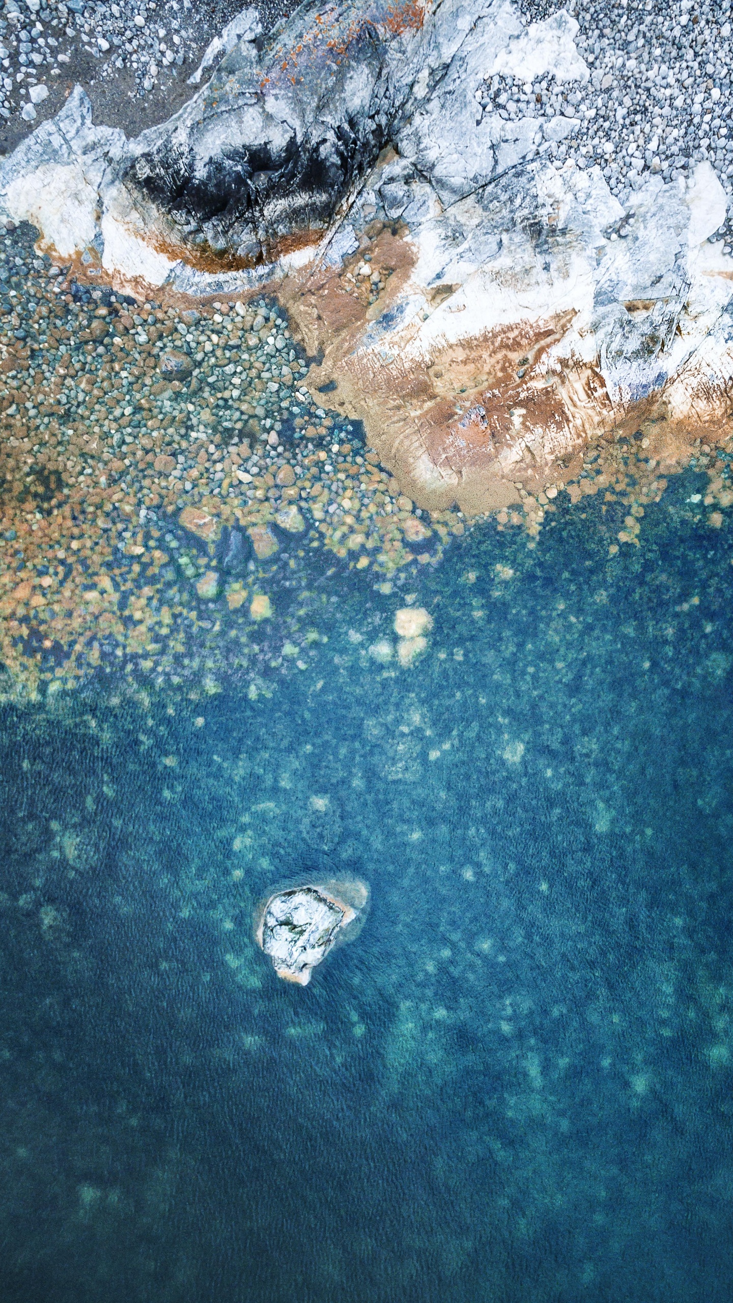 Обои айпад, ipad pro, apple, iPad Pro 2017, яблоко в разрешении 1440x2560