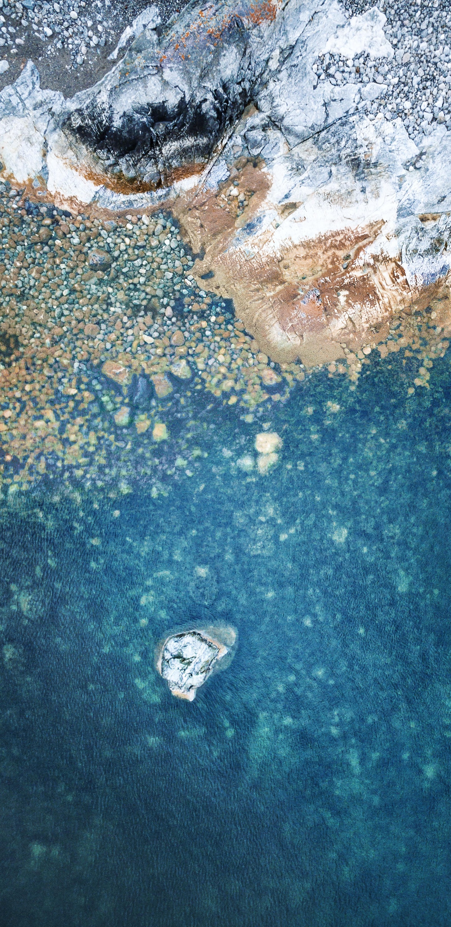 Обои айпад, ipad pro, apple, iPad Pro 2017, яблоко в разрешении 1440x2960