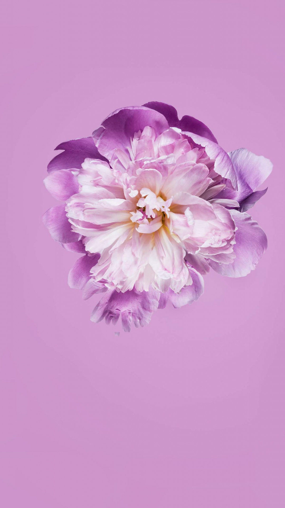 Обои Huawei, Honor Play, google play, честь, Huawei P30 в разрешении 1080x1920