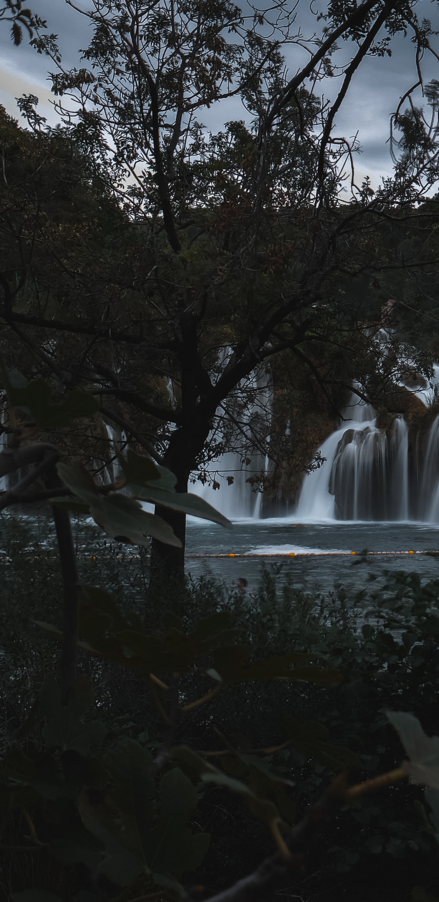 Обои дерево, водоем, водопад, природа, вода в разрешении 1440x2960