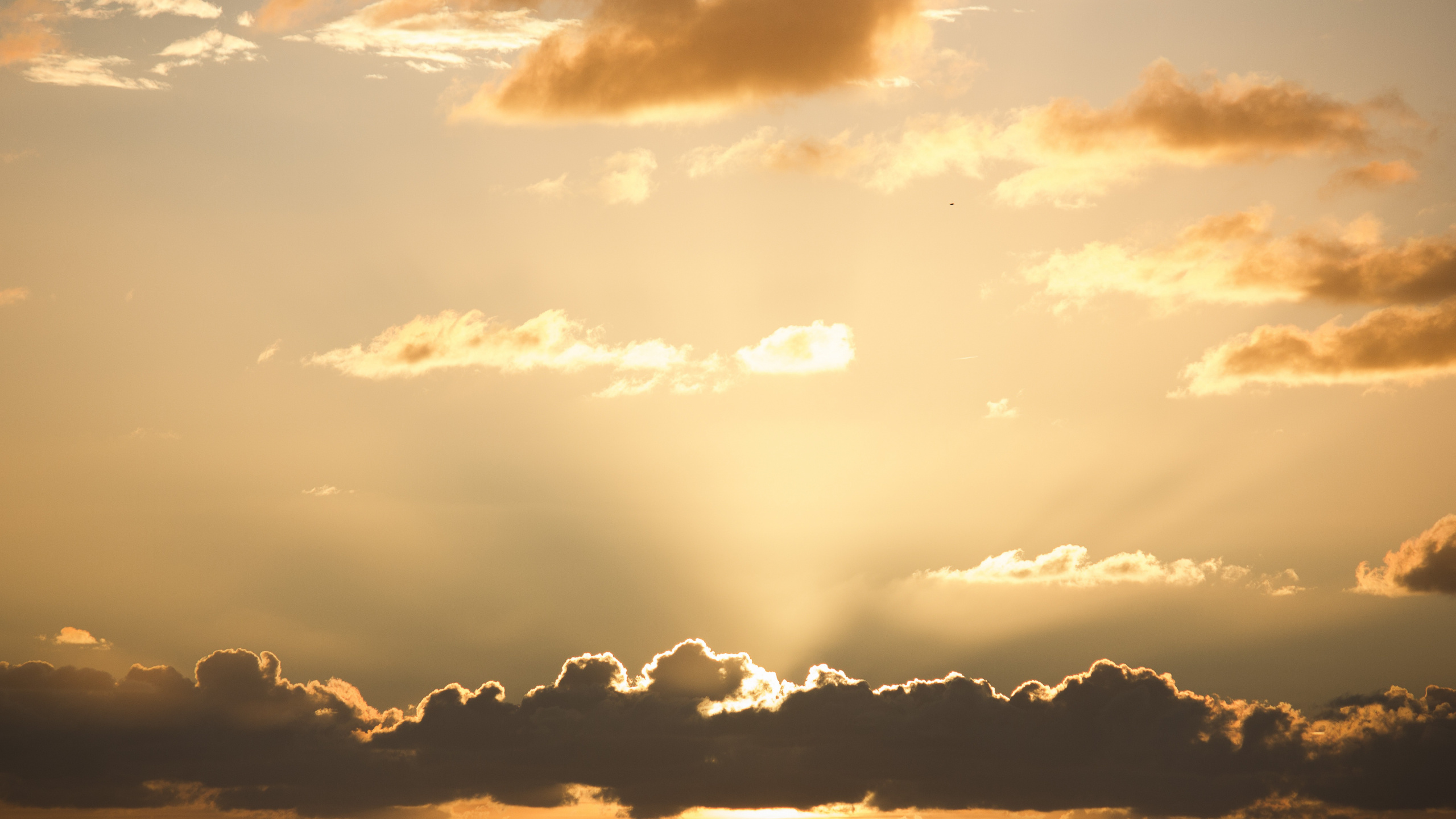 Обои облако, закат, солнечный свет, кучевое облако, горизонт в разрешении 2560x1440