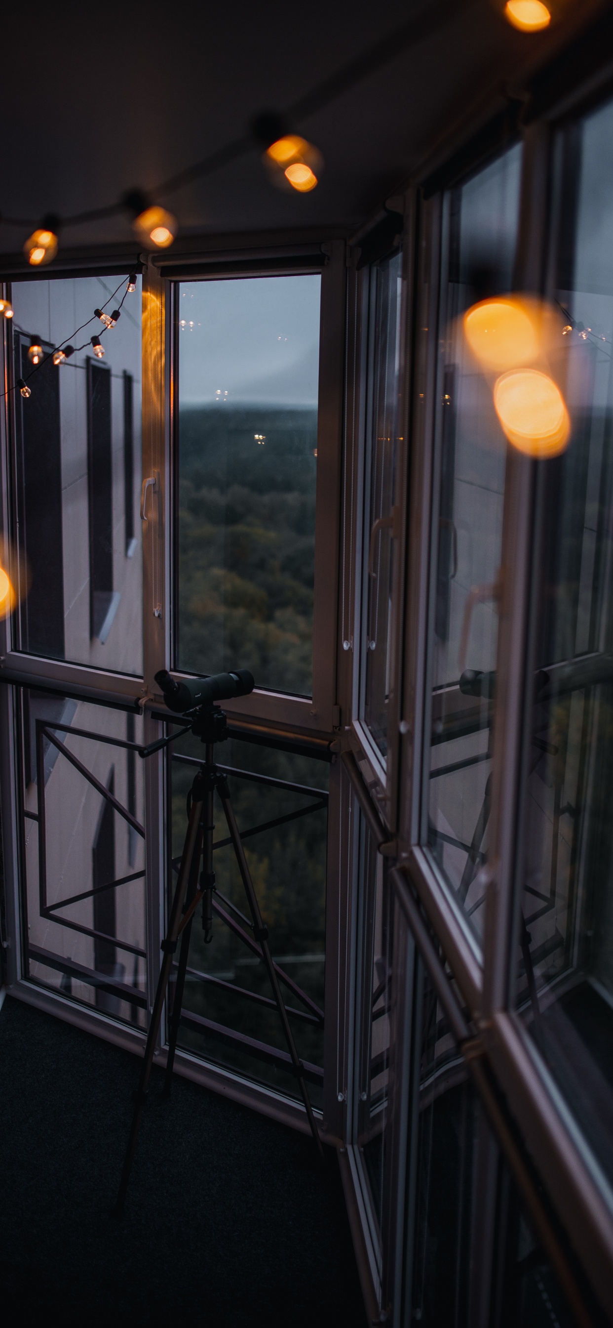 Обои освещение, свет, Хаус, родина, комната в разрешении 1242x2688