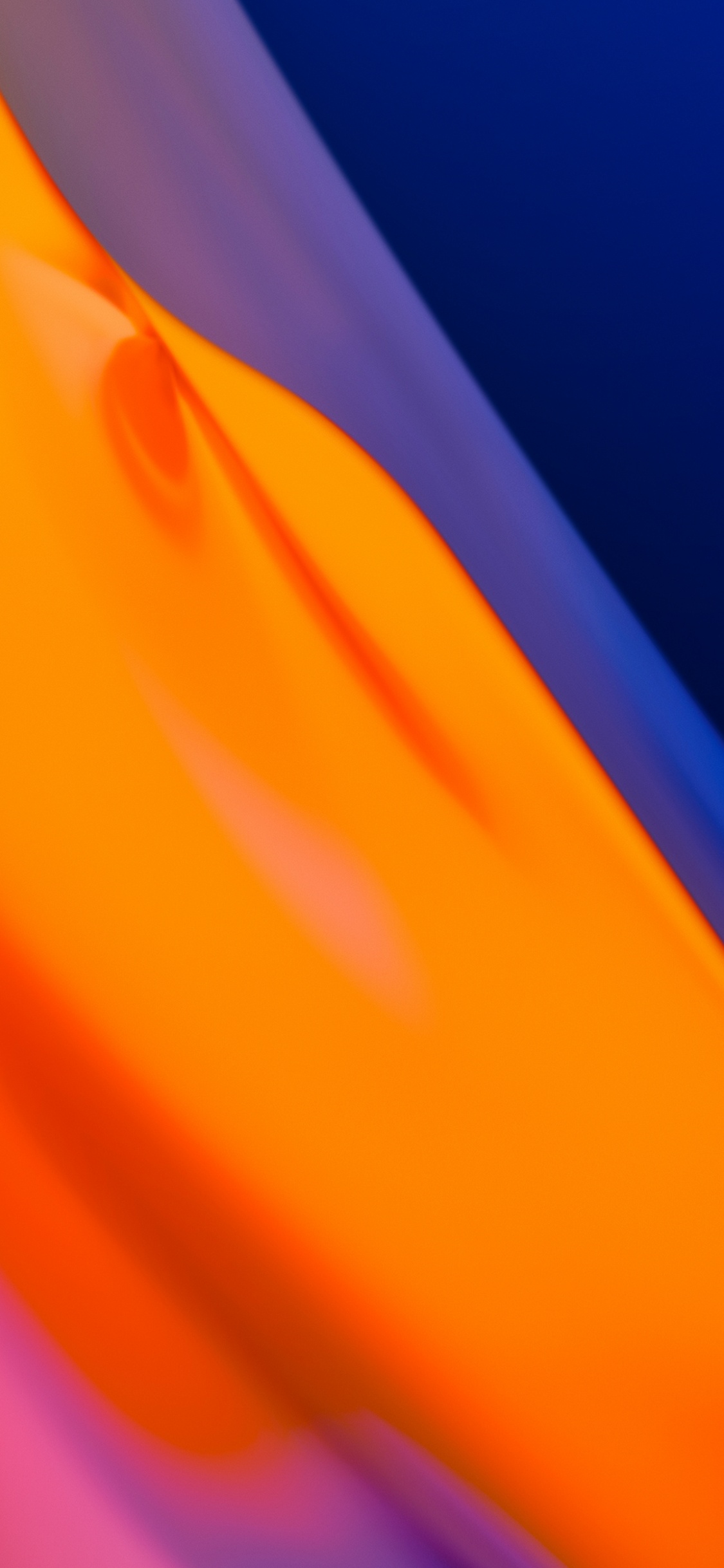 Обои Апельсин, капюшон, Янтарь, жест, полутона и оттенки в разрешении 1125x2436