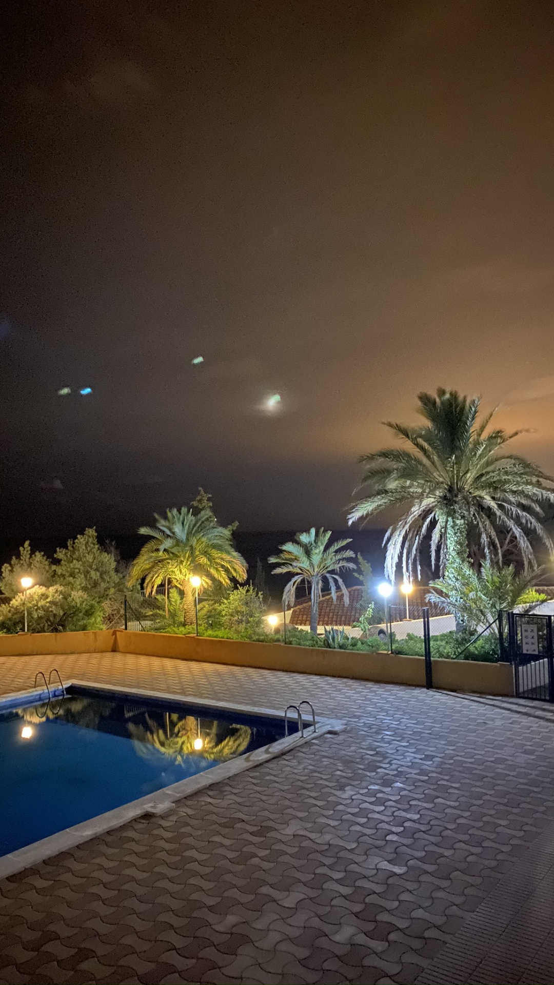 Обои вода, плавательный бассейн, пальмовые рощи, ландшафтное освещение, недвижимость в разрешении 1080x1920