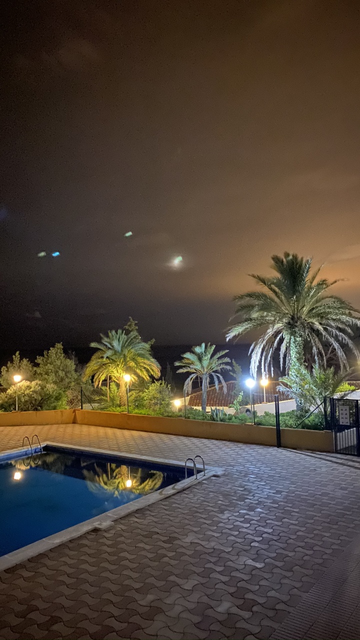 Обои вода, плавательный бассейн, пальмовые рощи, ландшафтное освещение, недвижимость в разрешении 720x1280