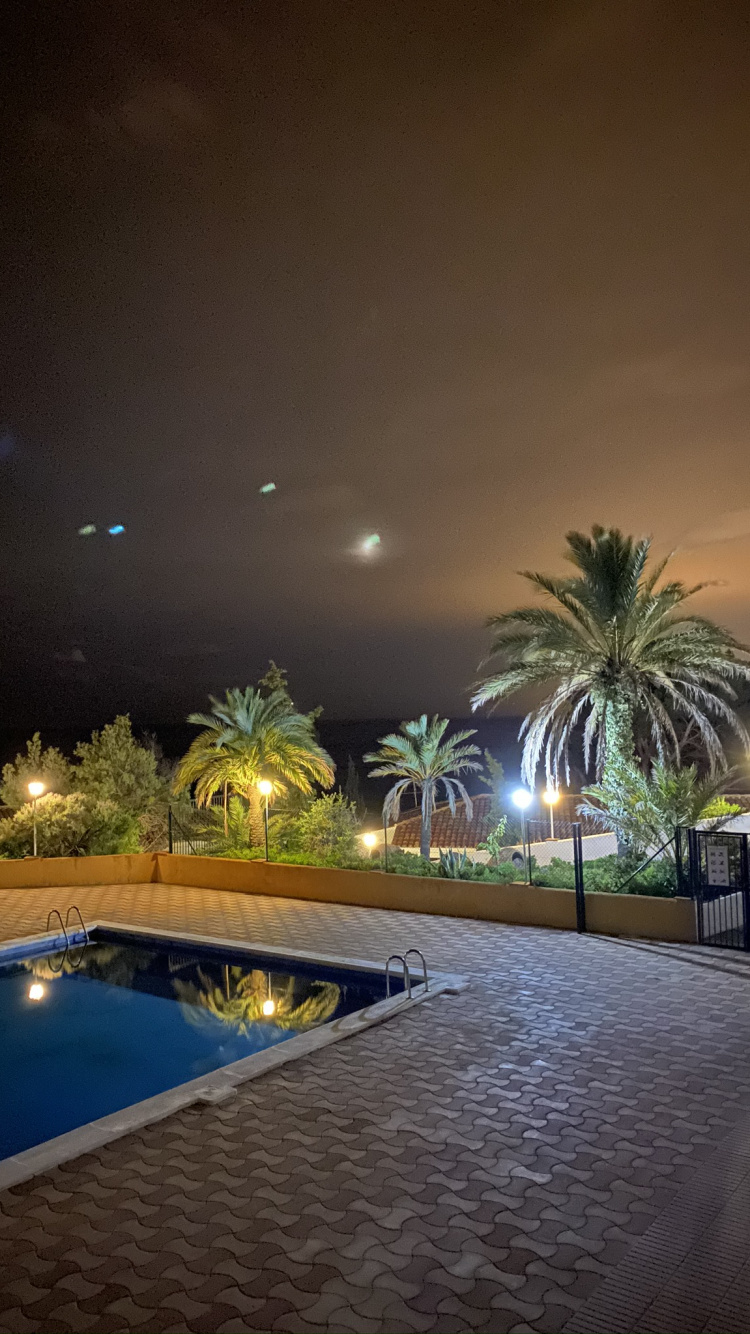 Обои вода, плавательный бассейн, пальмовые рощи, ландшафтное освещение, недвижимость в разрешении 750x1334