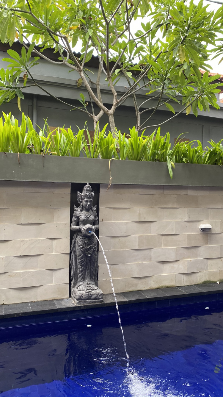 Обои вода, окно, пальмовые рощи, плавательный бассейн, водные элементы в разрешении 750x1334