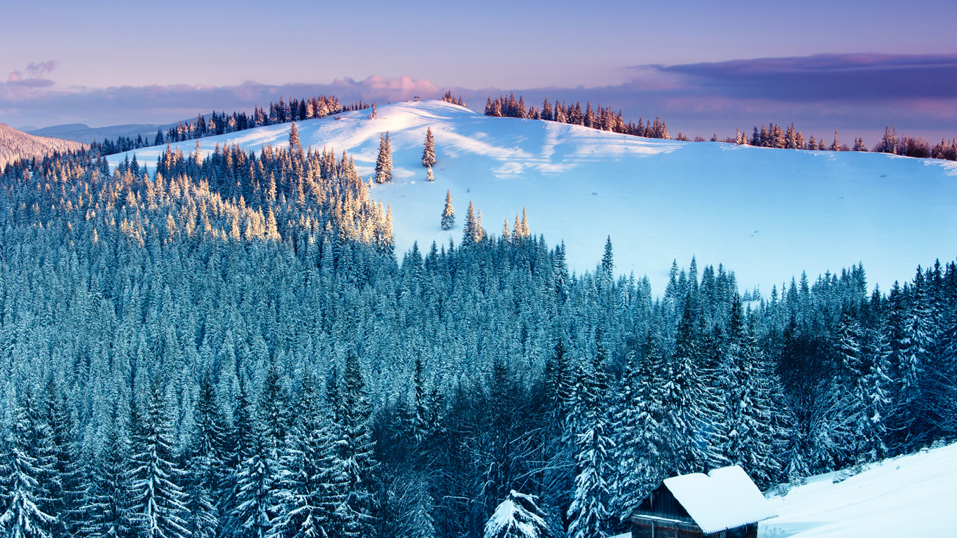 Обои снег, зима, природа, гора, дерево в разрешении 1366x768