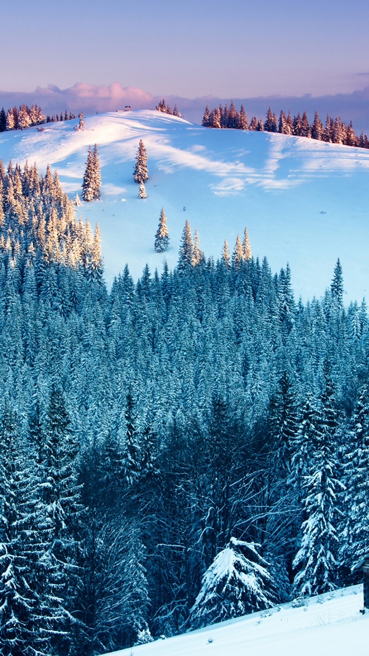 Обои снег, зима, природа, гора, дерево в разрешении 720x1280