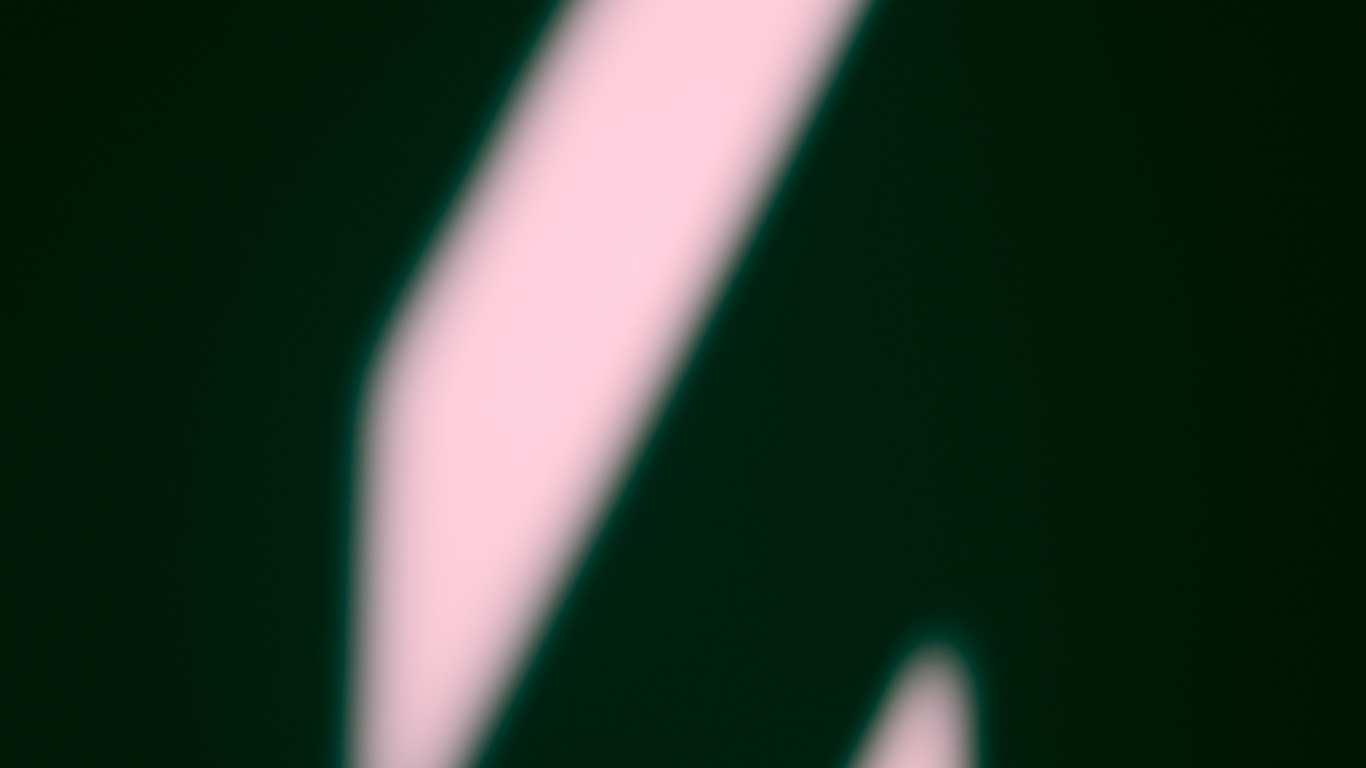 Обои макро, Мембрана-крылатое насекомое, темнота, желтый, растение в разрешении 1366x768