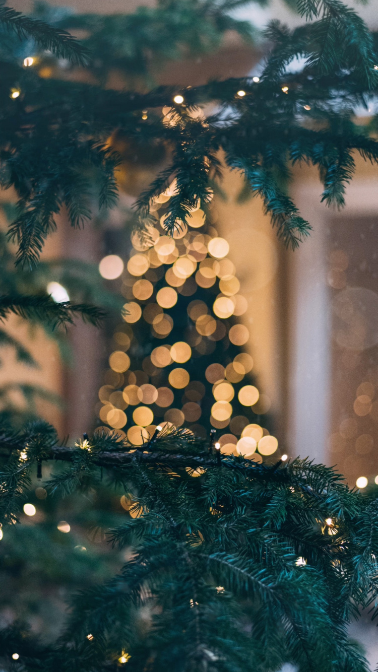 Обои Новый год, эстетика, Рождество, арт, елка в разрешении 750x1334