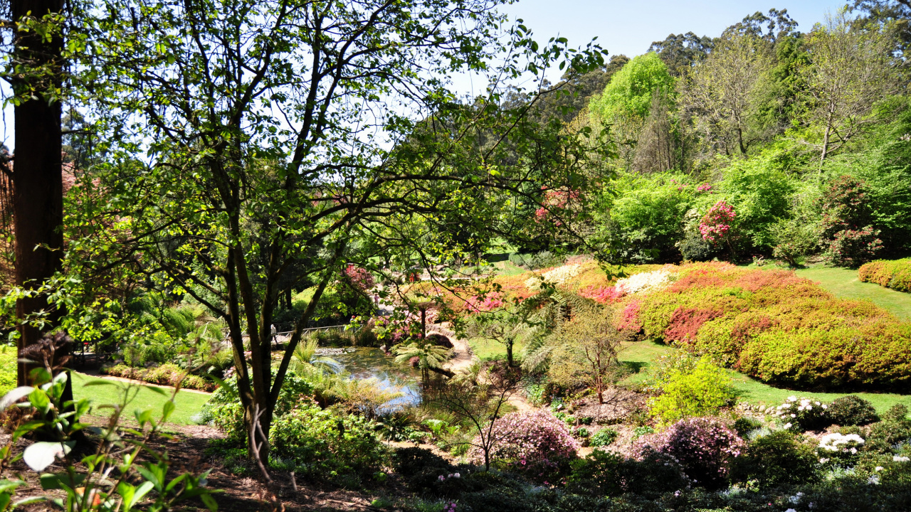 Обои природа, Ботанический сад, сад, растительность, дерево в разрешении 1280x720