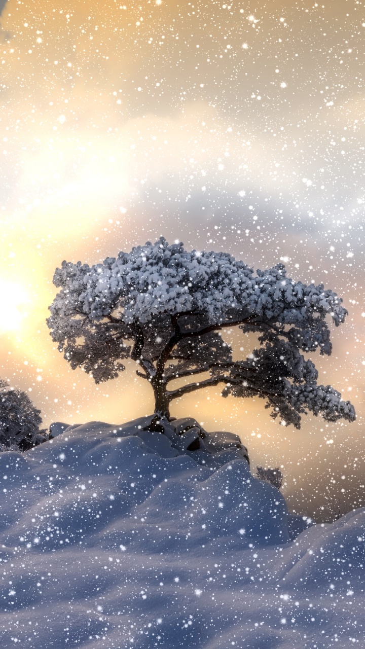 Обои вода, наука, атмосфера, растение, мир в разрешении 720x1280