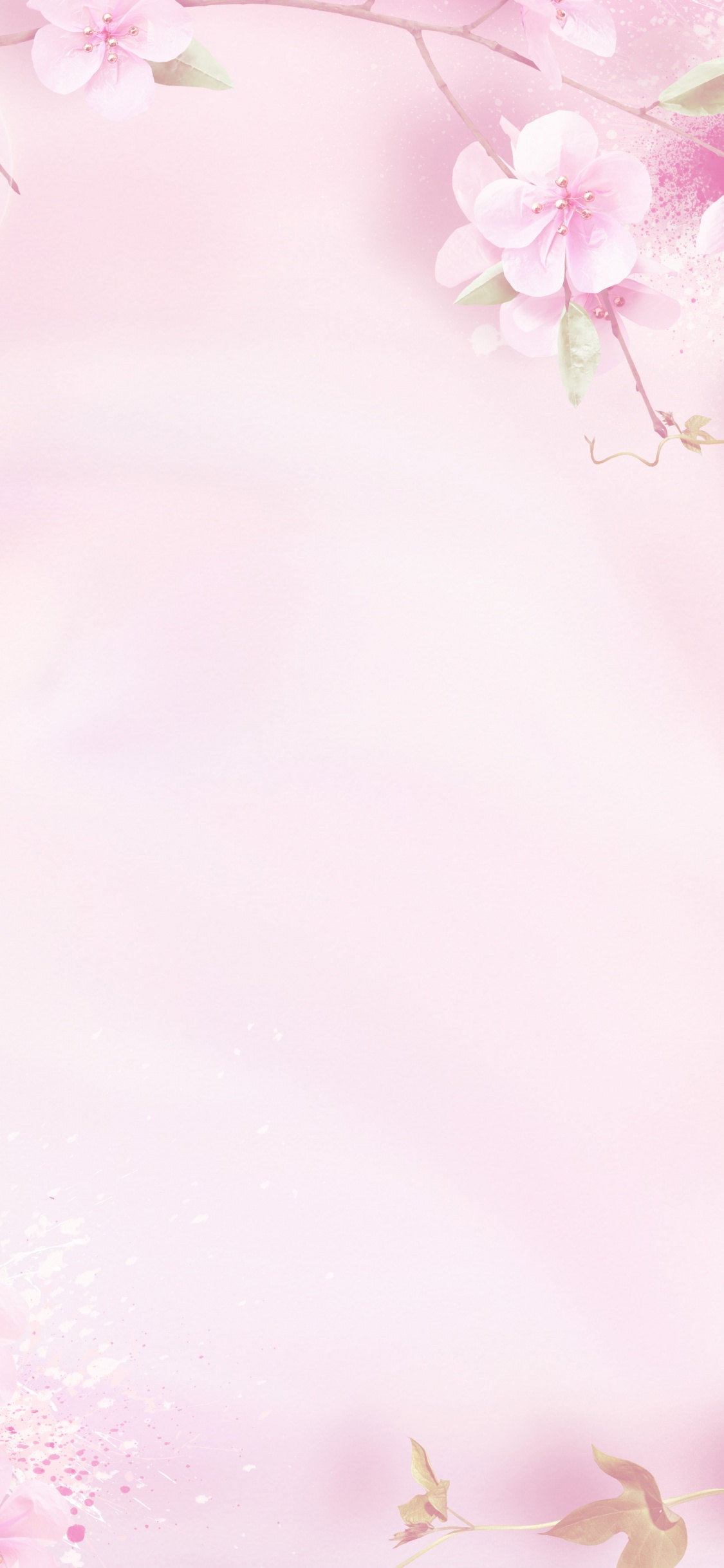 Обои розовый, цветок, лепесток, весна, расцвет в разрешении 1125x2436