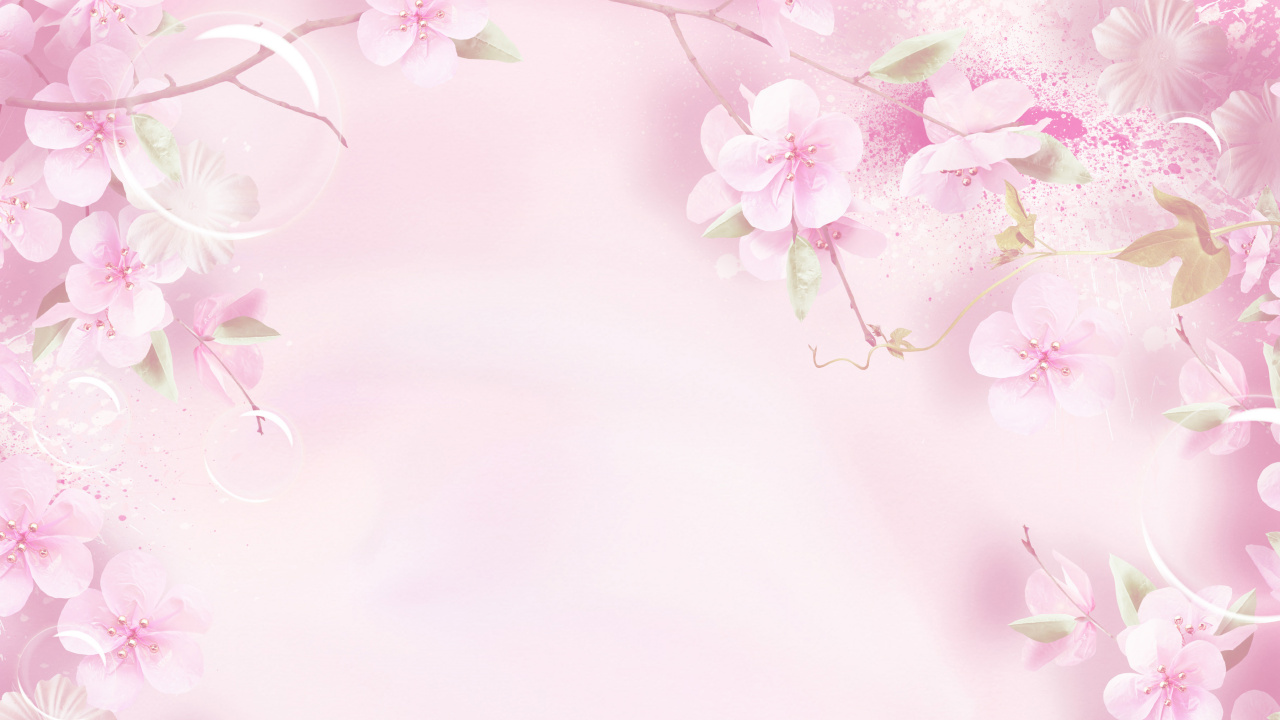 Обои розовый, цветок, лепесток, весна, расцвет в разрешении 1280x720
