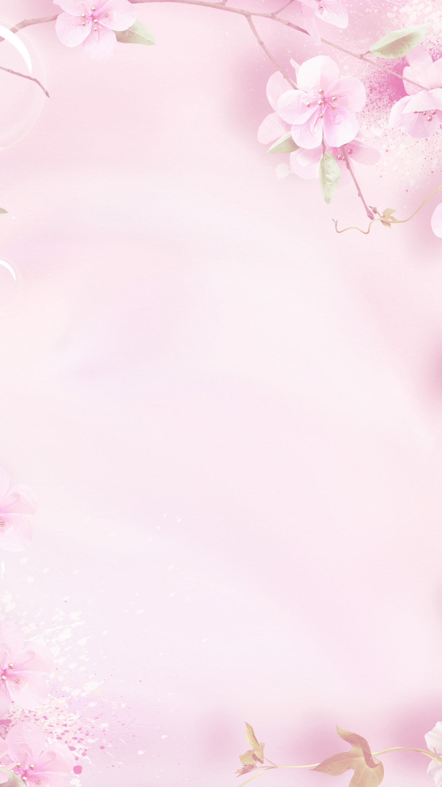 Обои розовый, цветок, лепесток, весна, расцвет в разрешении 1440x2560