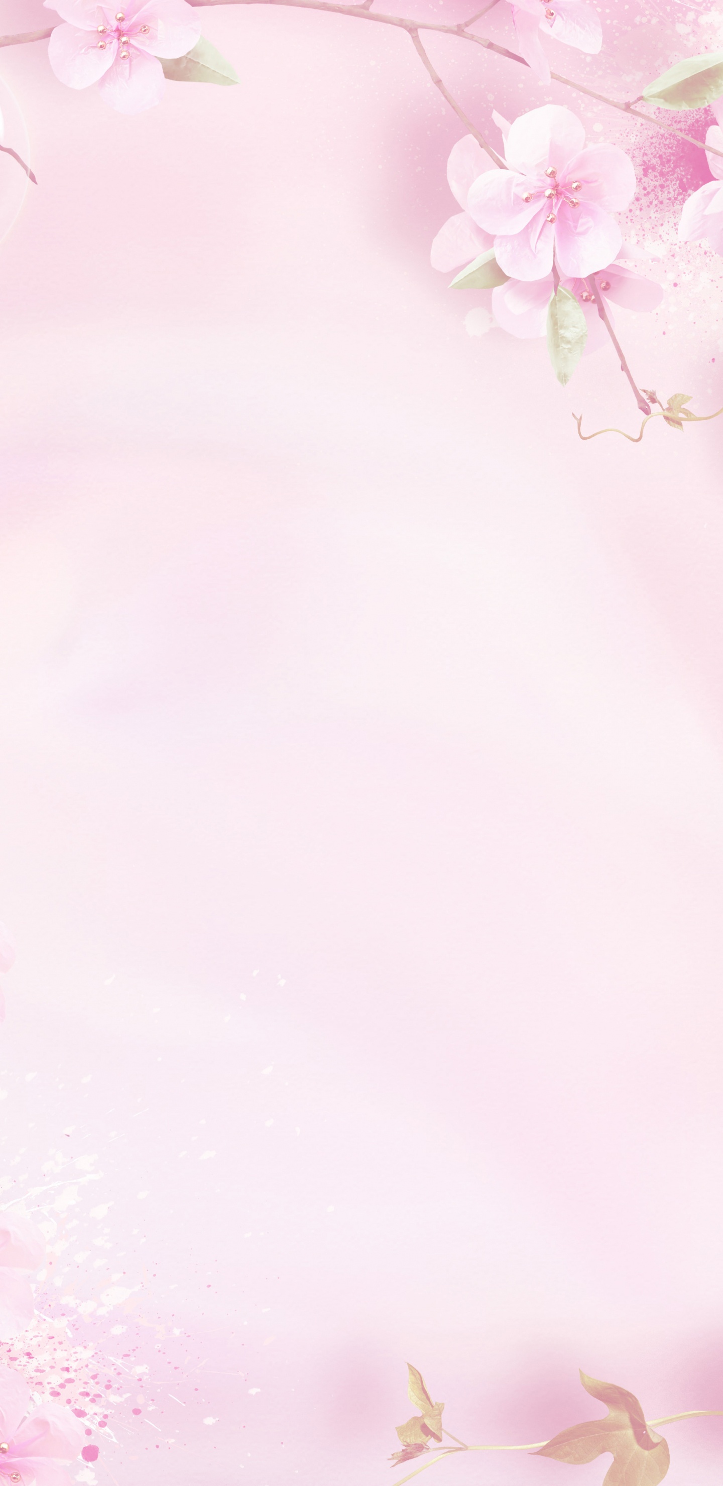Обои розовый, цветок, лепесток, весна, расцвет в разрешении 1440x2960