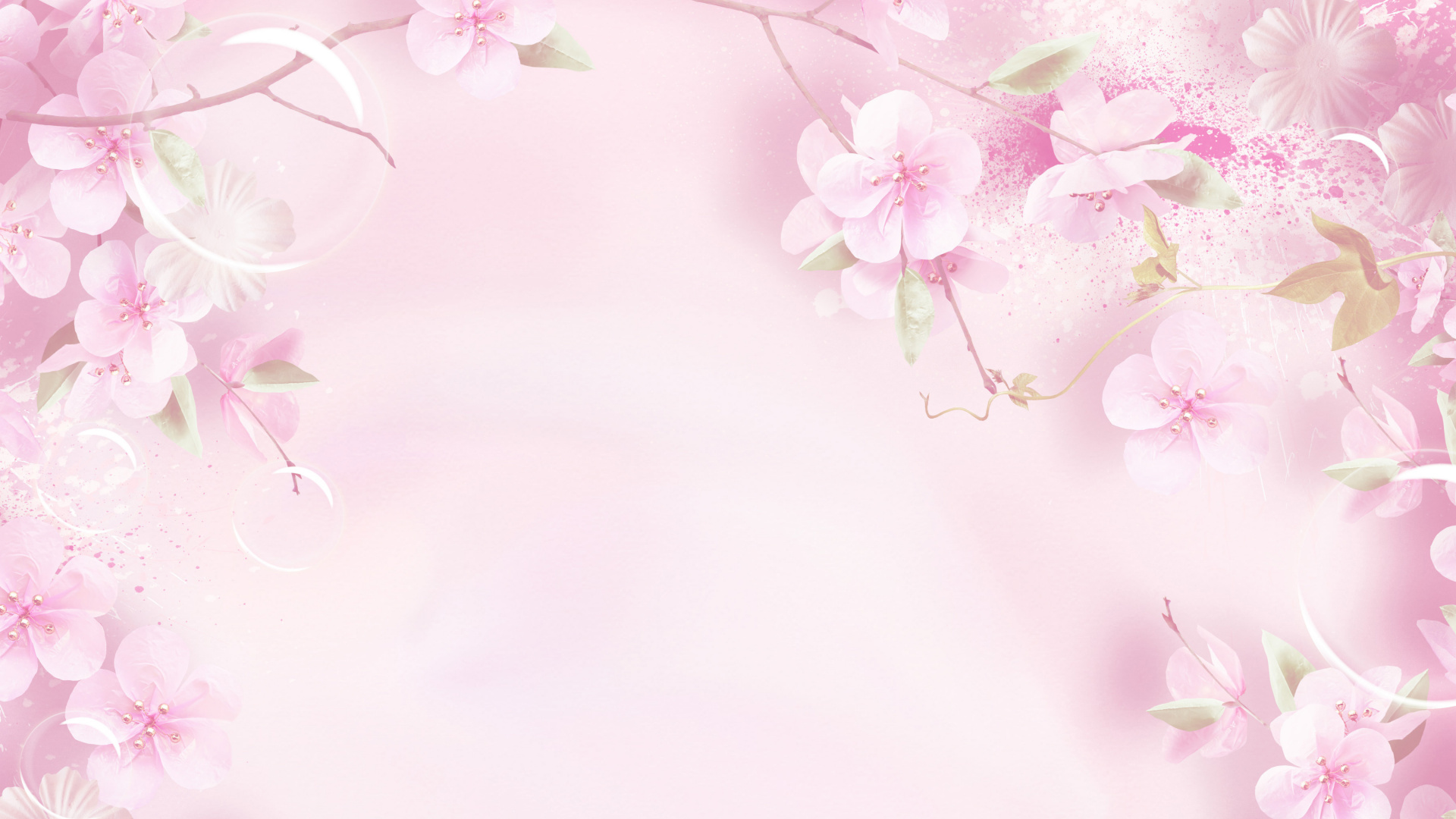 Обои розовый, цветок, лепесток, весна, расцвет в разрешении 1920x1080