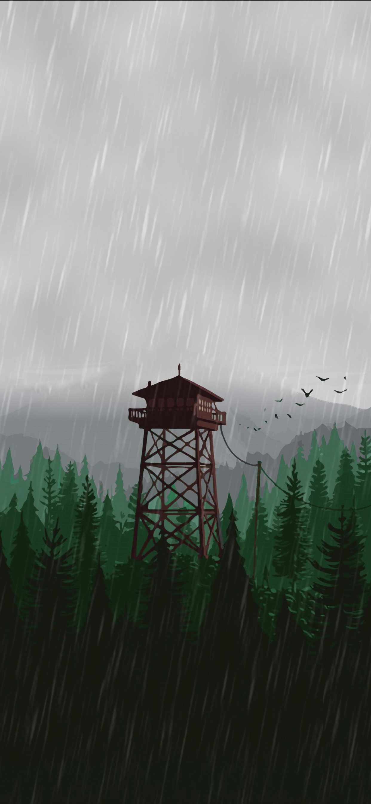 Обои блаженство, облако, растение, природный ландшафт, нагорье в разрешении 1242x2688