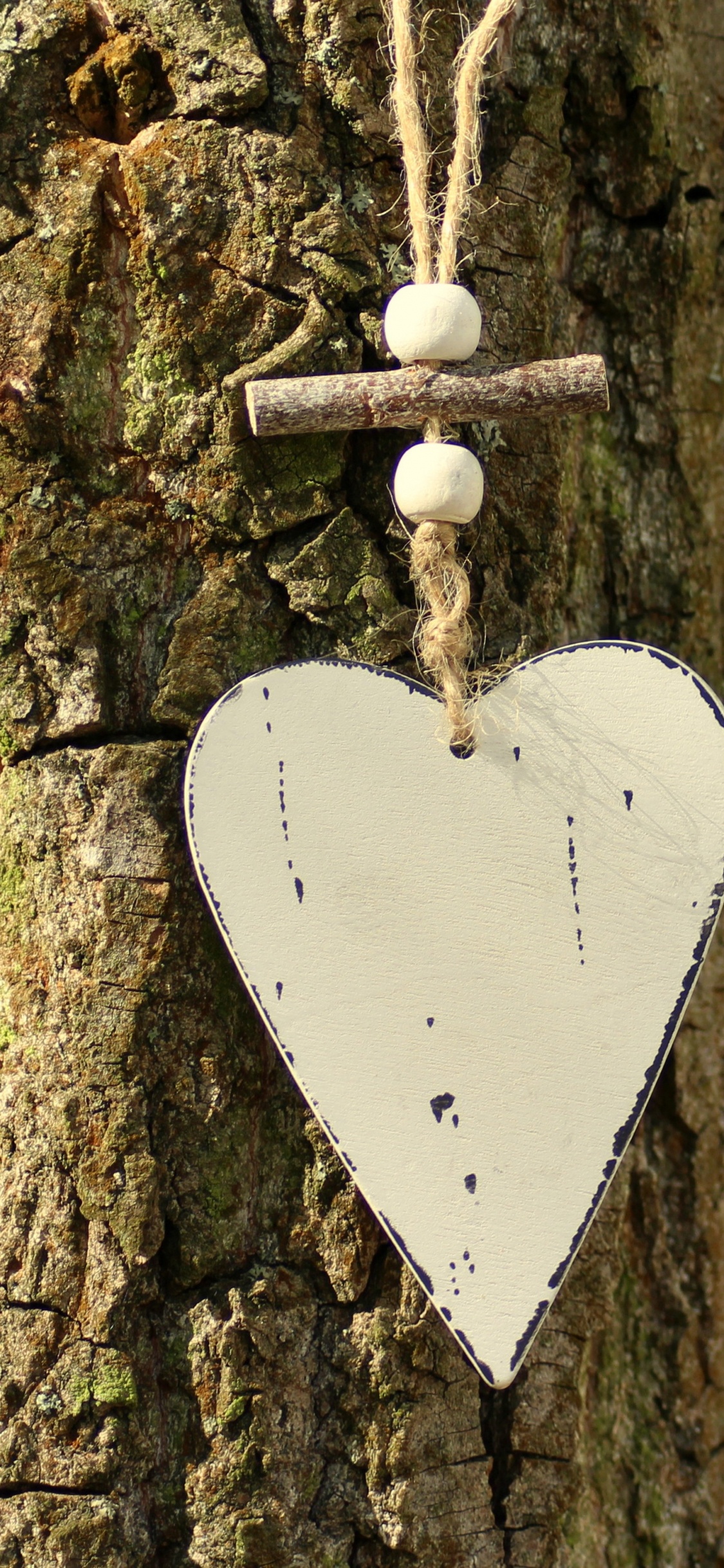 Обои сердце, дерево, насекомое, древесина, мотыльки и бабочки в разрешении 1125x2436