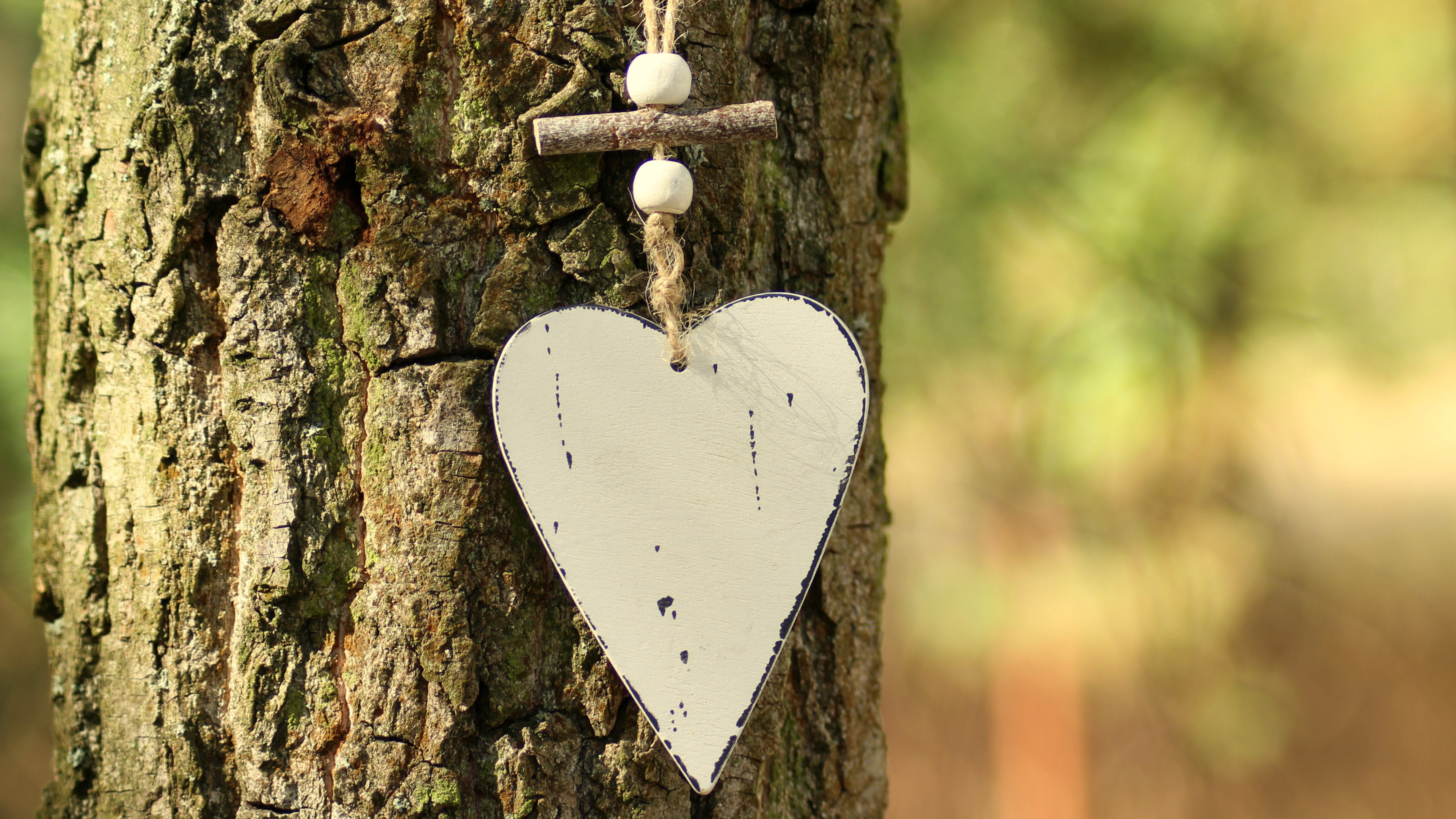 Обои сердце, дерево, насекомое, древесина, мотыльки и бабочки в разрешении 3840x2160