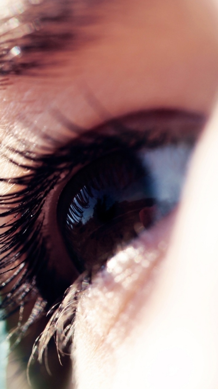 Обои бровь, ресницы, макро фотография, радужная оболочка, макросъемка в разрешении 720x1280