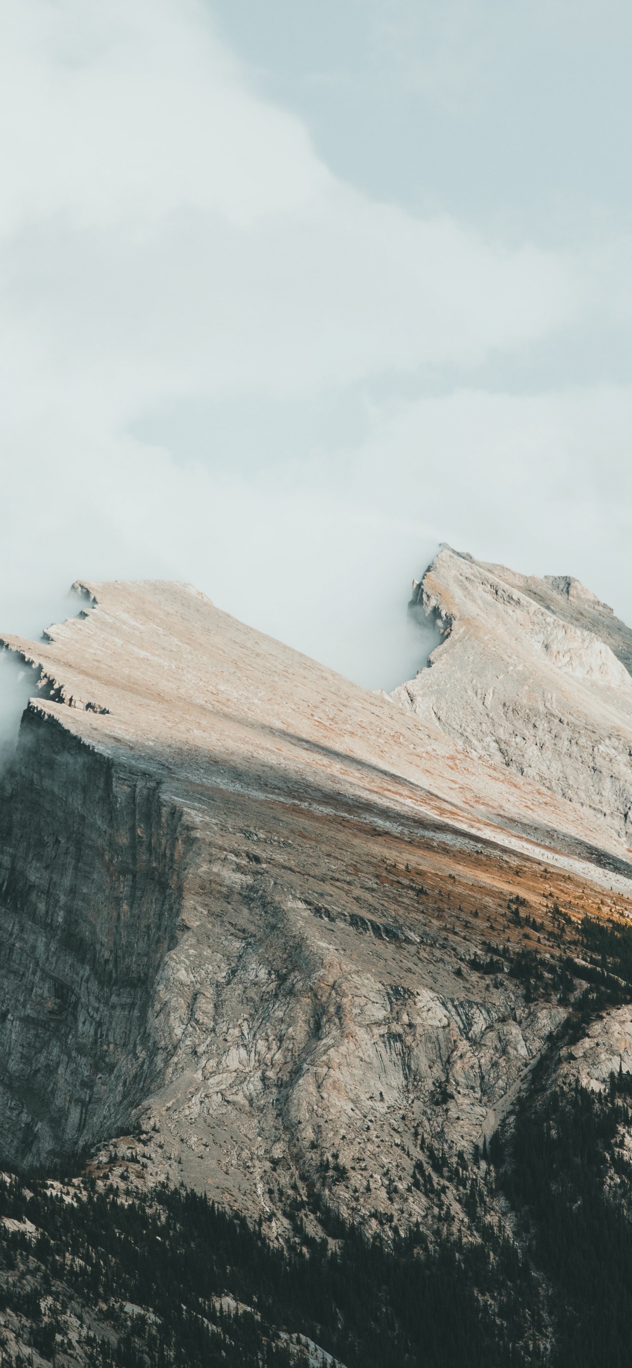 Обои провинция Альберта, гора рандл, дом жертвы, soundcloud, облако в разрешении 1242x2688