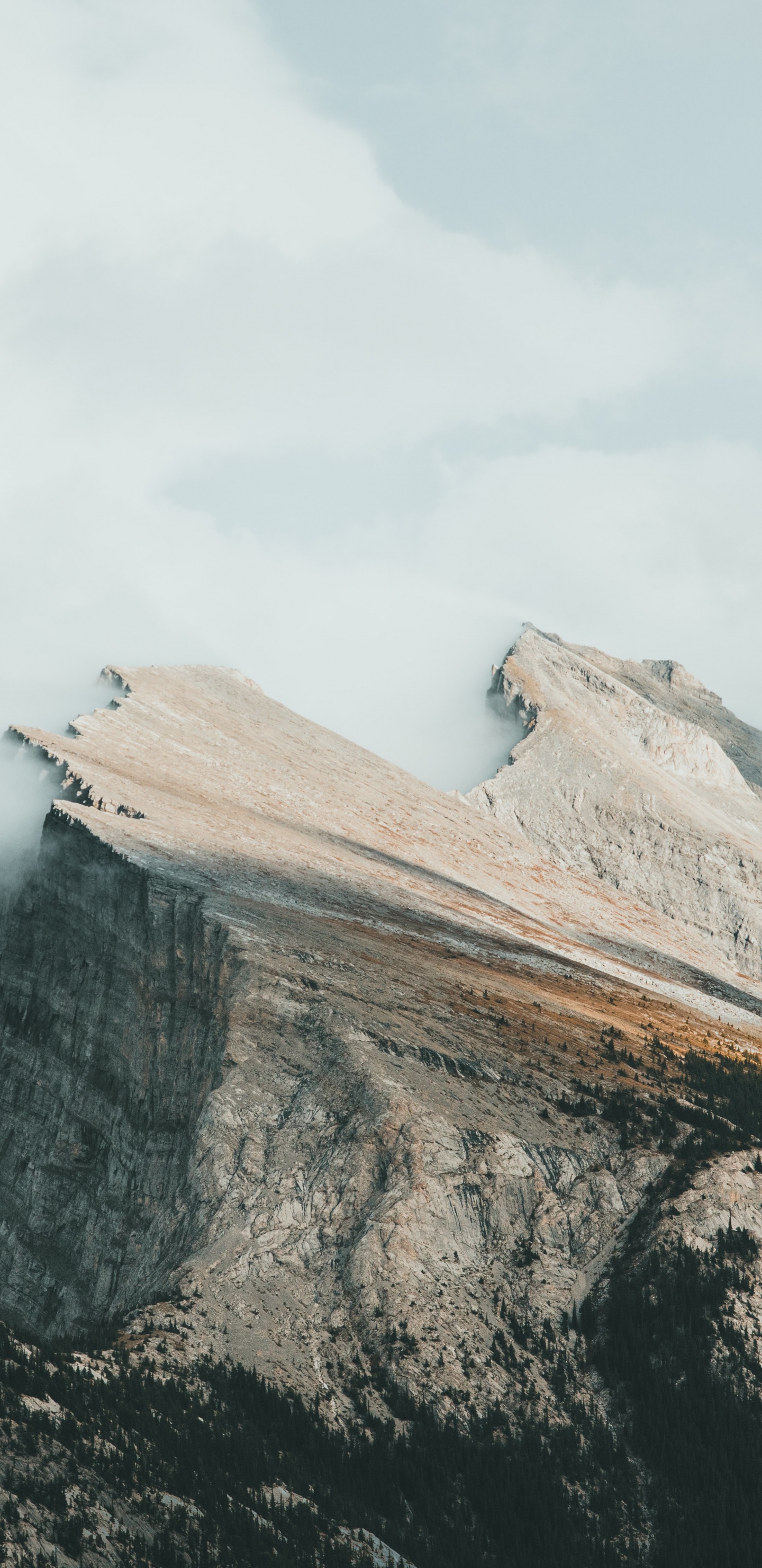 Обои провинция Альберта, гора рандл, дом жертвы, soundcloud, облако в разрешении 1440x2960