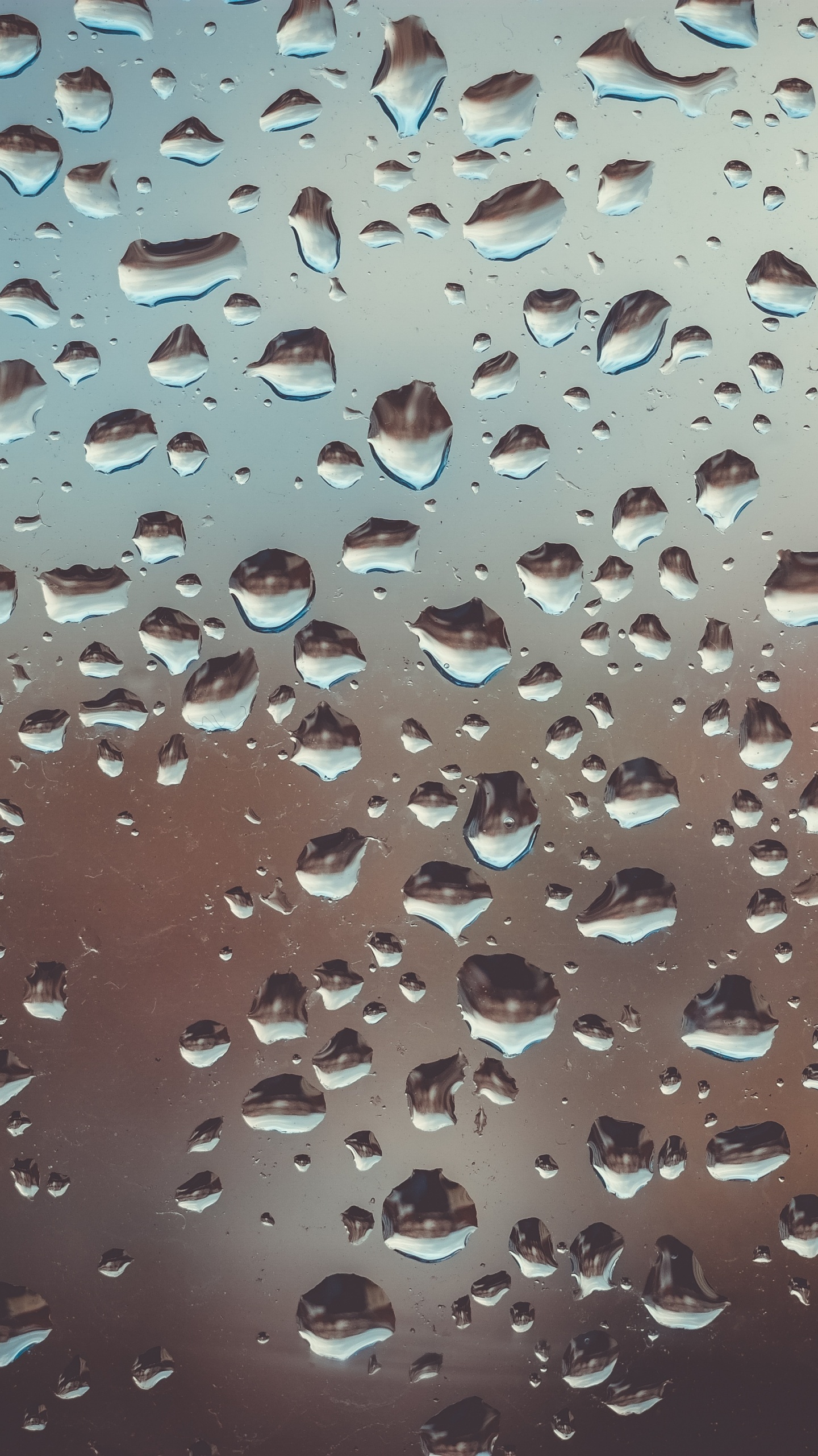 Обои стекло, падение, вода, дождь, матовое стекло в разрешении 1440x2560