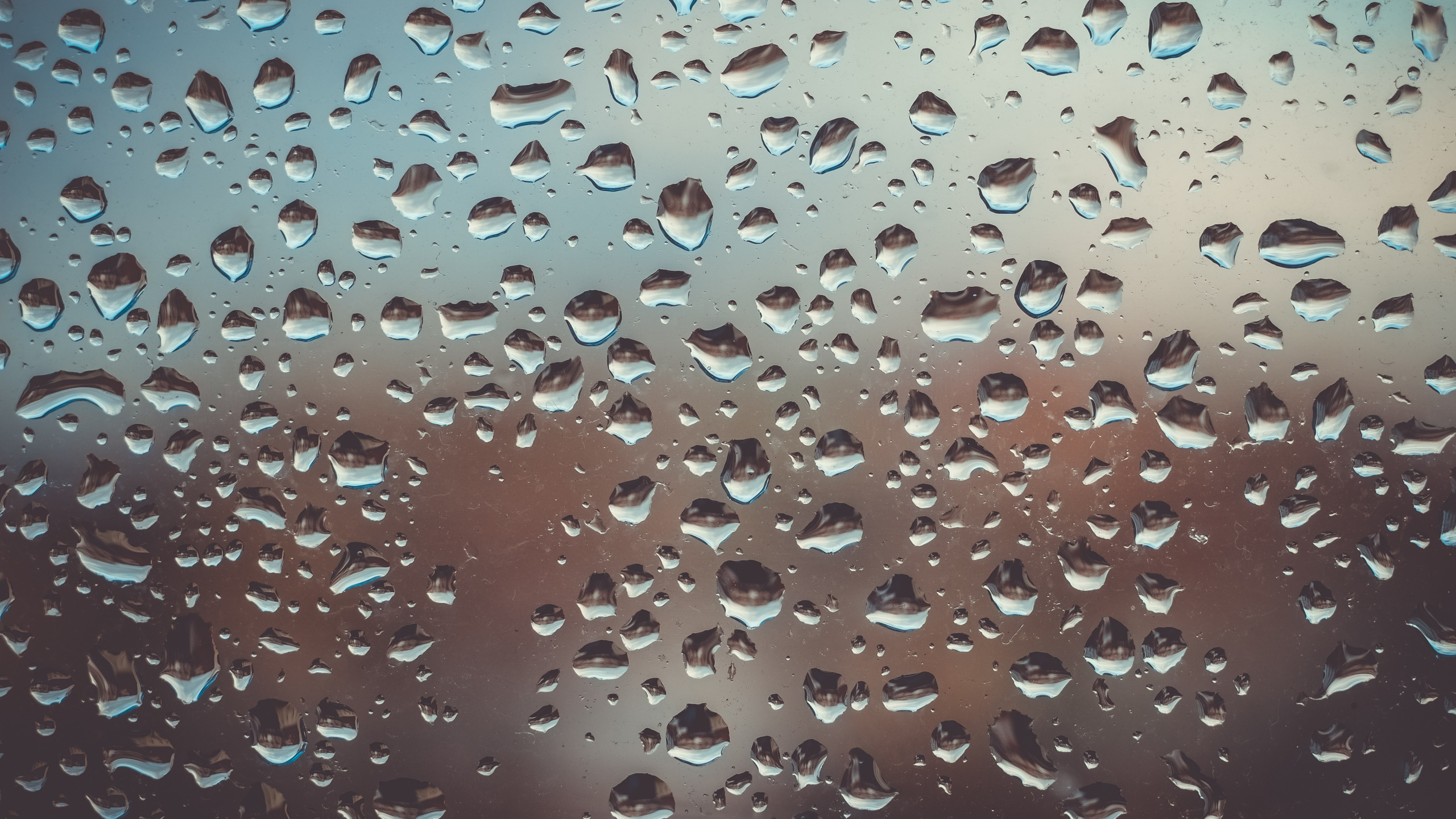 Обои стекло, падение, вода, дождь, матовое стекло в разрешении 2560x1440