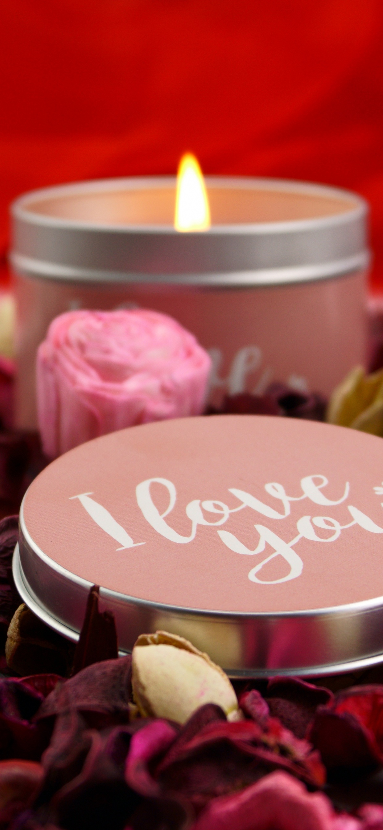 Обои свеча, Роза, цветок, лепесток, сердце в разрешении 1242x2688