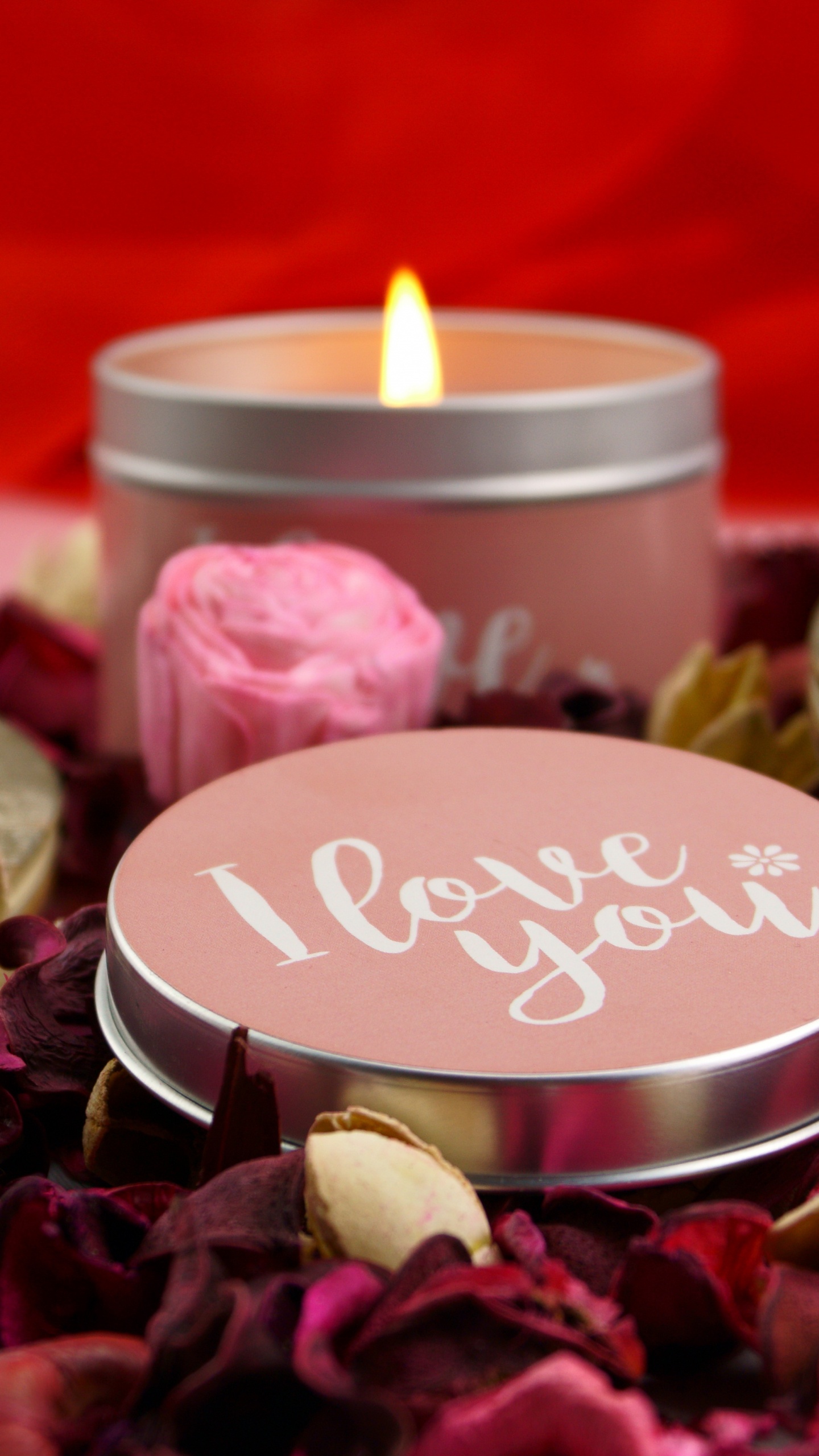 Обои свеча, Роза, цветок, лепесток, сердце в разрешении 1440x2560