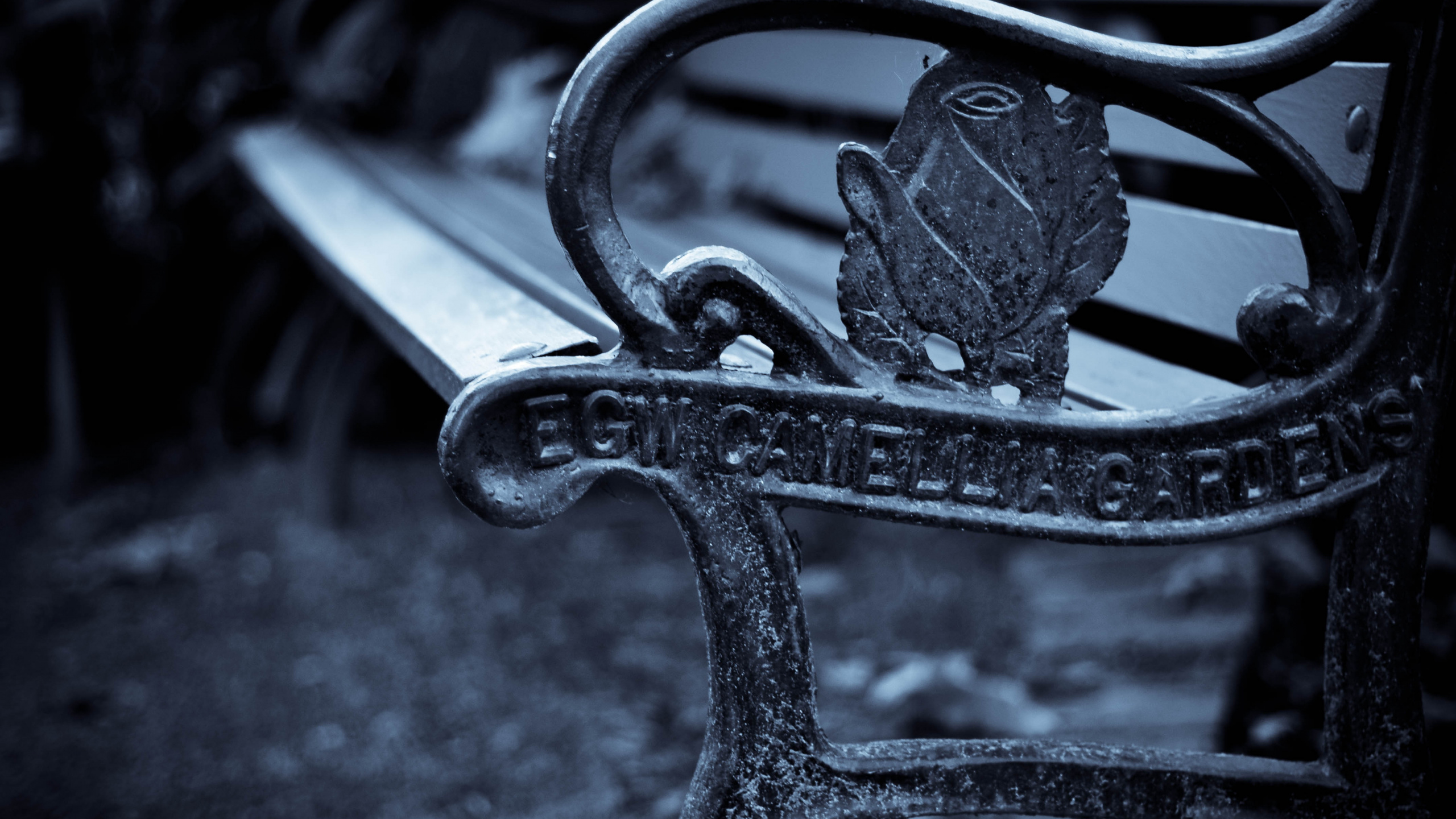 Обои черный, металл, черно-белая фотография в разрешении 2560x1440