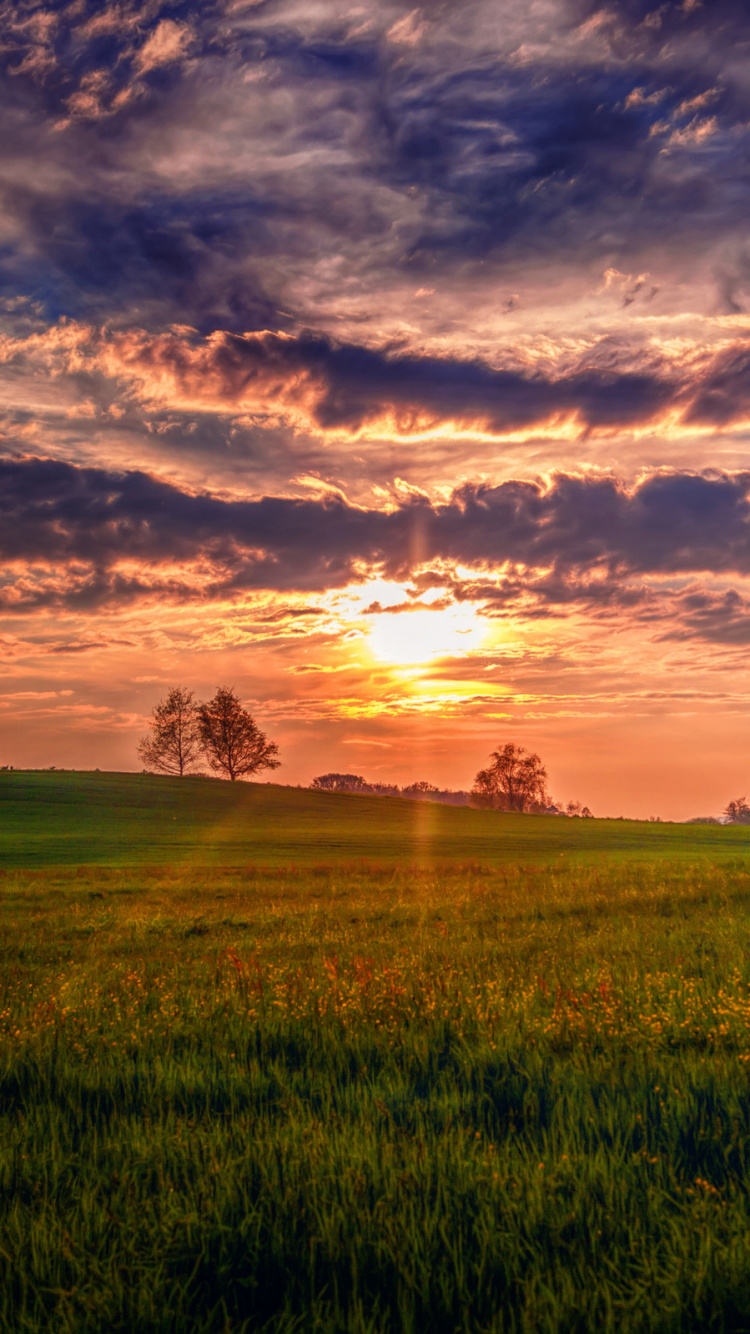 Обои закат, природа, утро, облако, горизонт в разрешении 750x1334