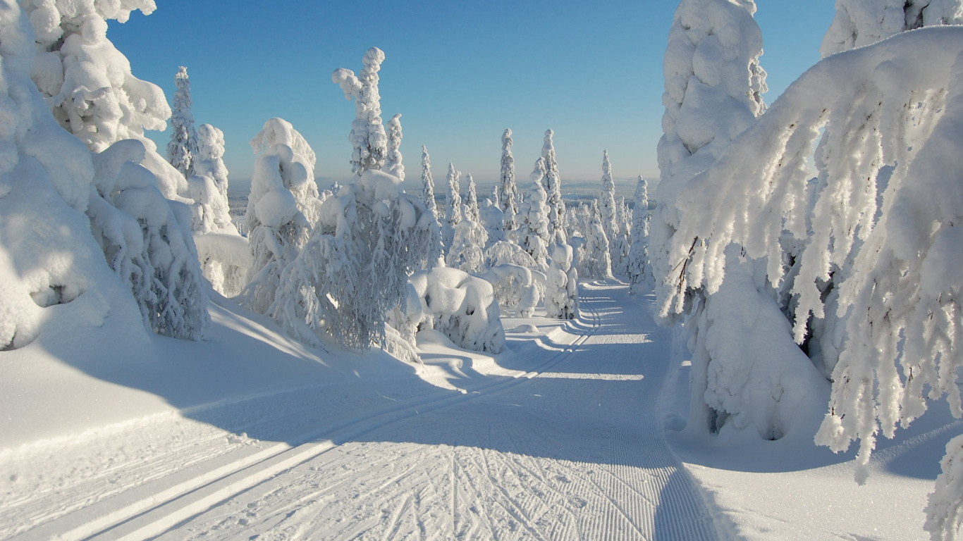Обои снег, зима, ледяная форма, замораживание, Арктика в разрешении 1366x768